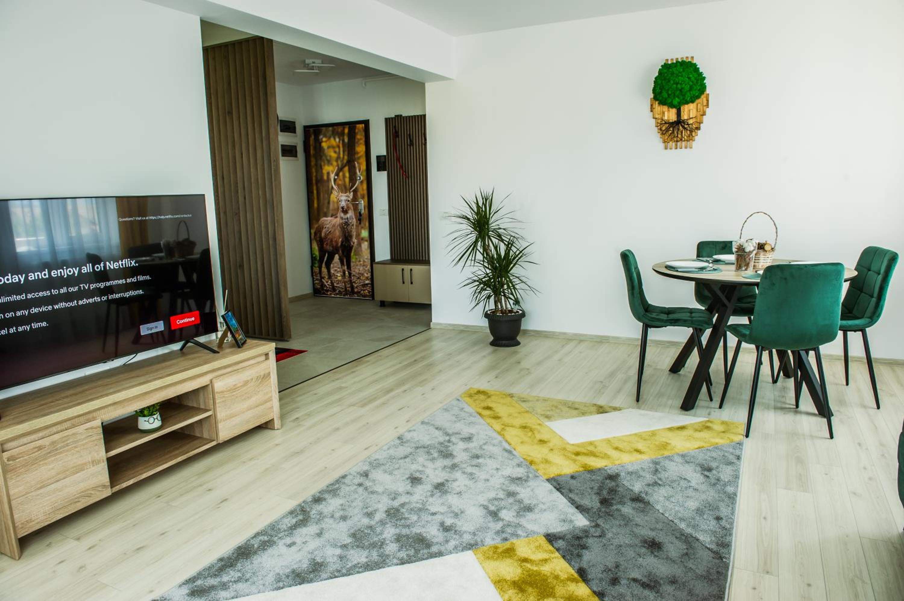 Stag Loft Brasov view 3