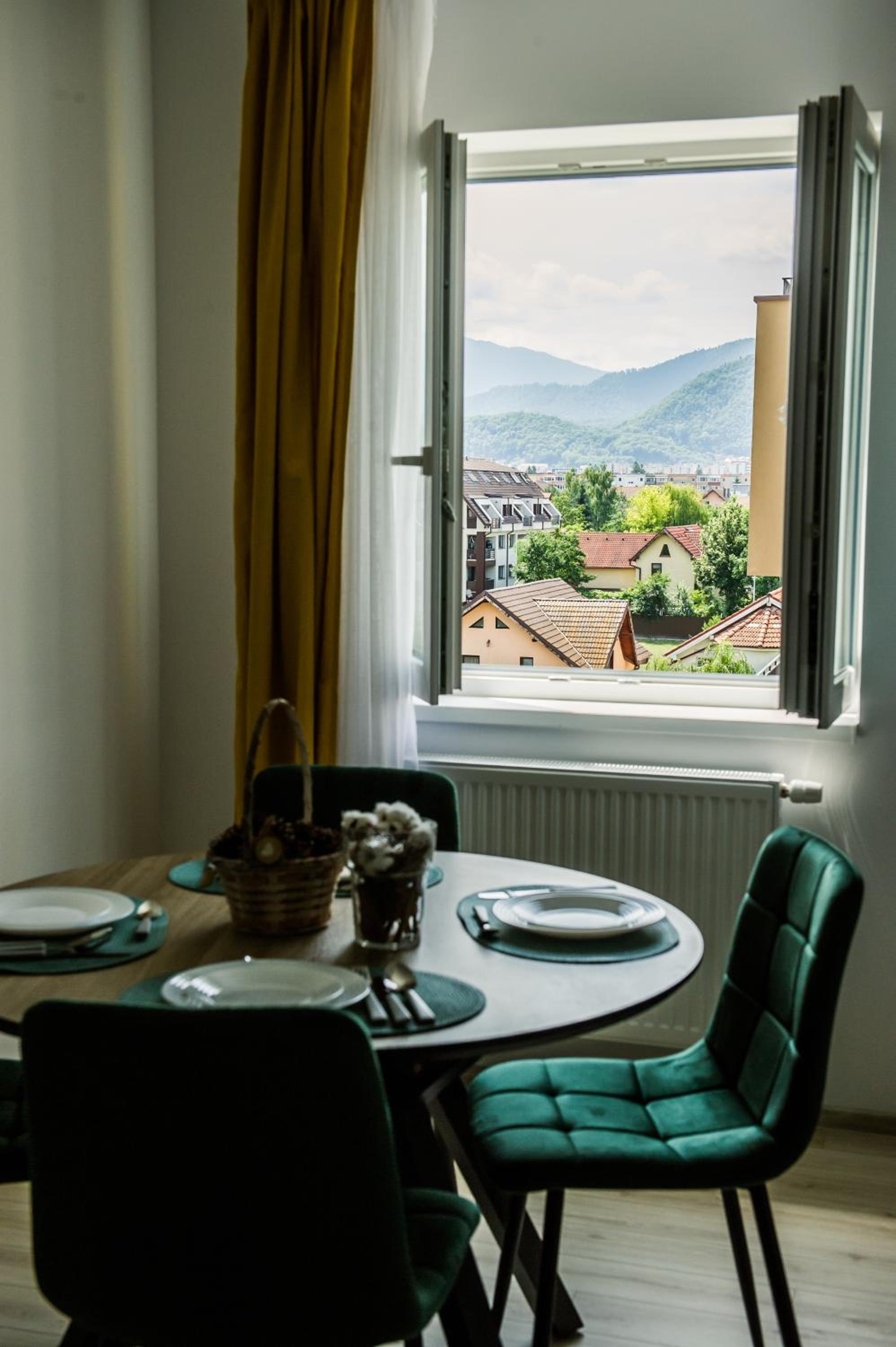 Stag Loft Brasov view 5
