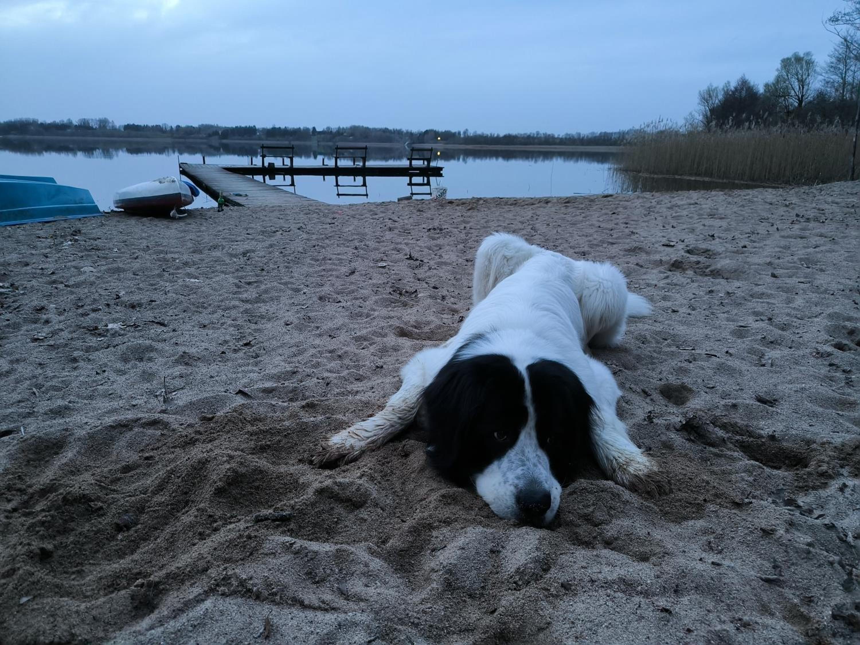Glamping Mazury - Przystań Jeziorany