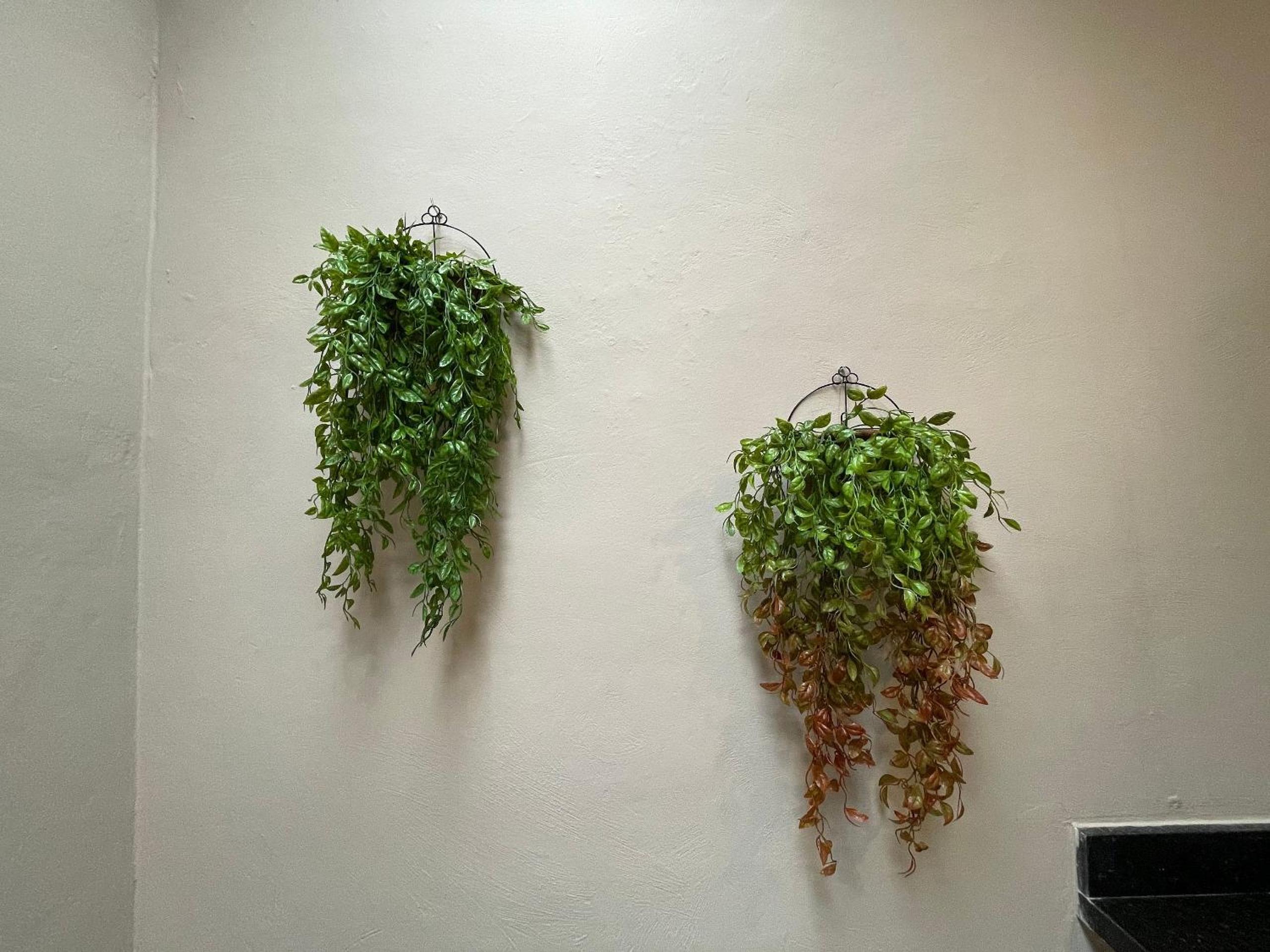 Studio Adalívia