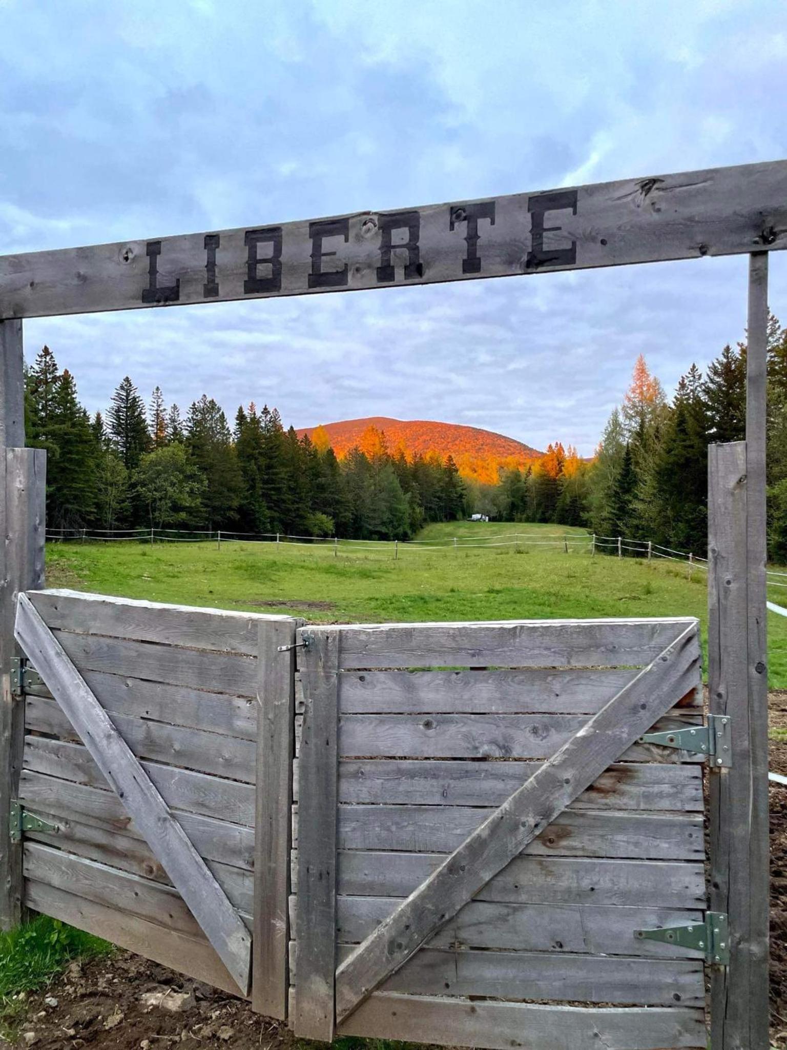 Mont Megantic - Chalet Le Madison