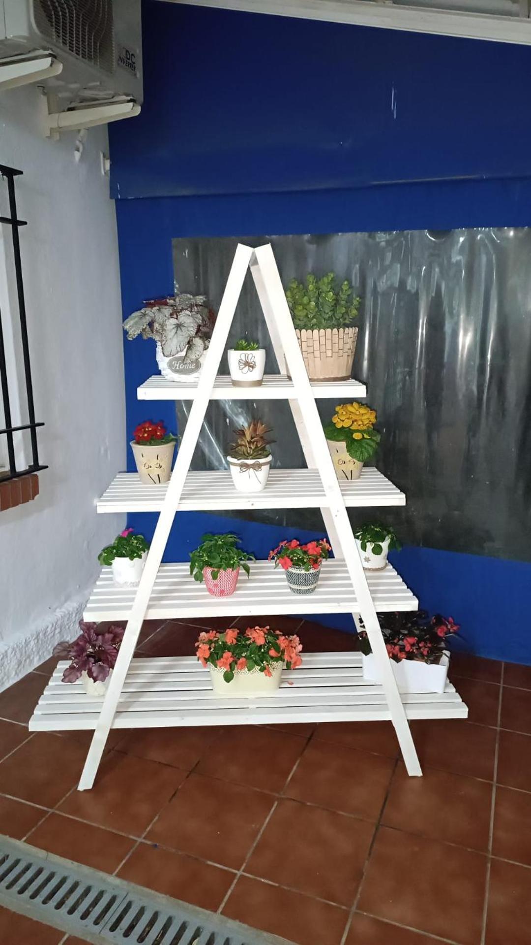 Photo 37
