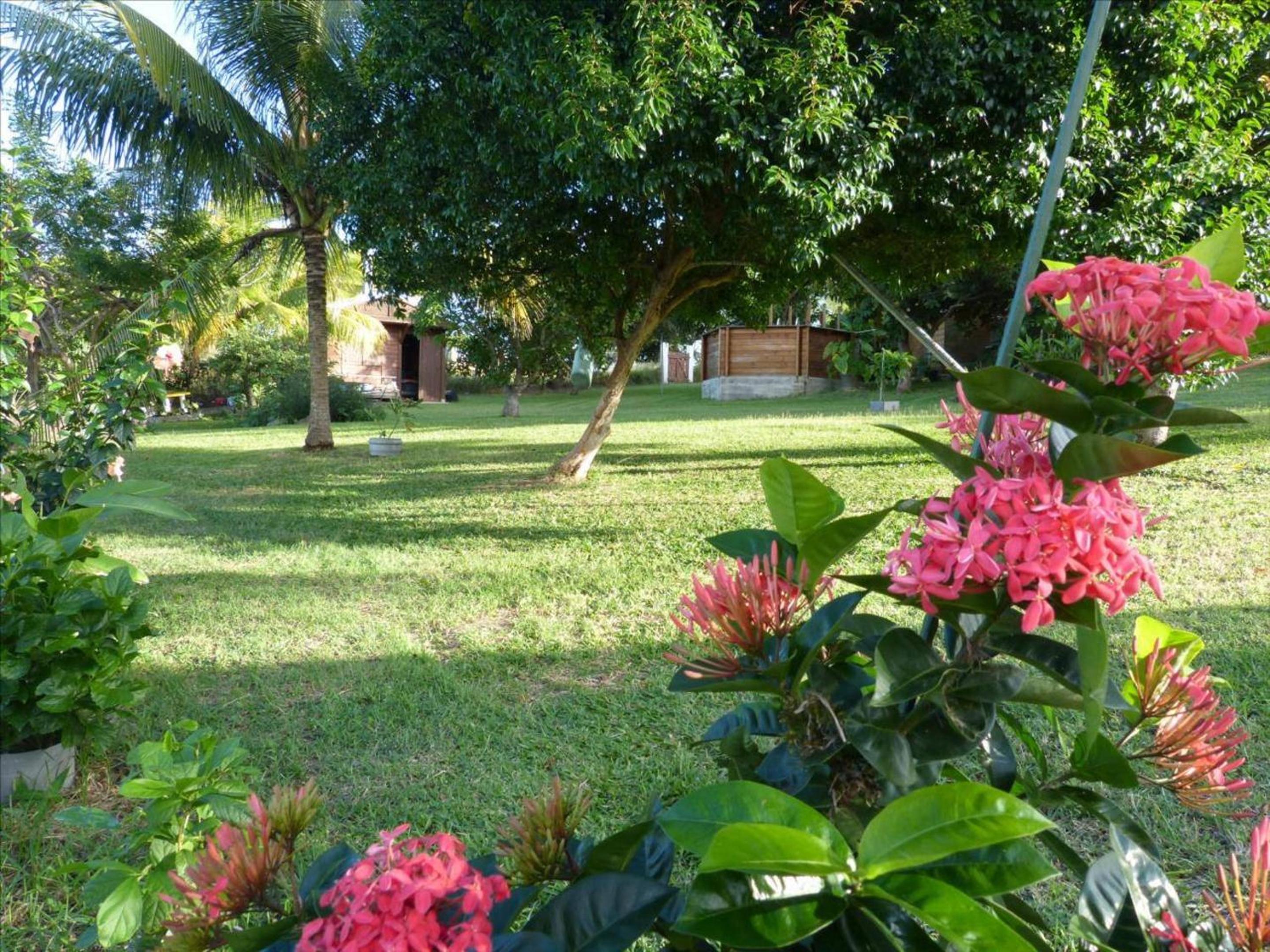 Photo 30