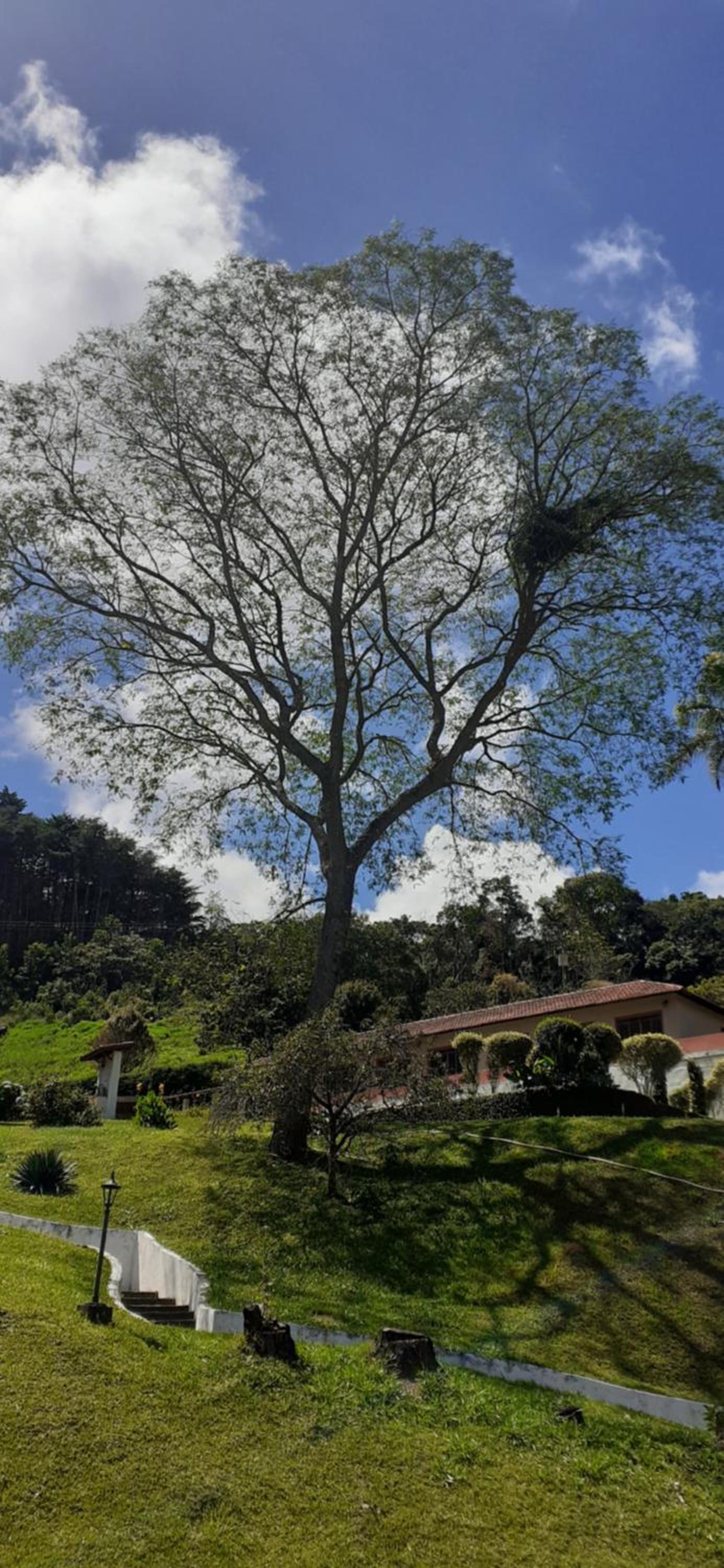 Chale na natureza dentro pousada pedacinho do ceu