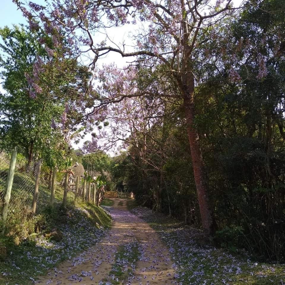 Chale na natureza dentro pousada pedacinho do ceu