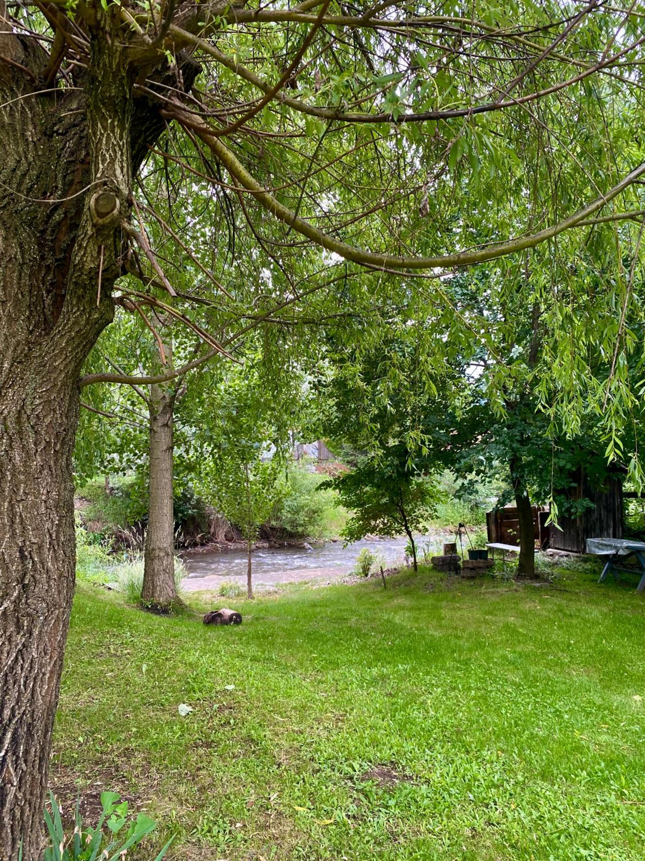 Photo 13