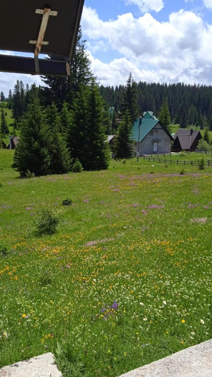 Photo 11