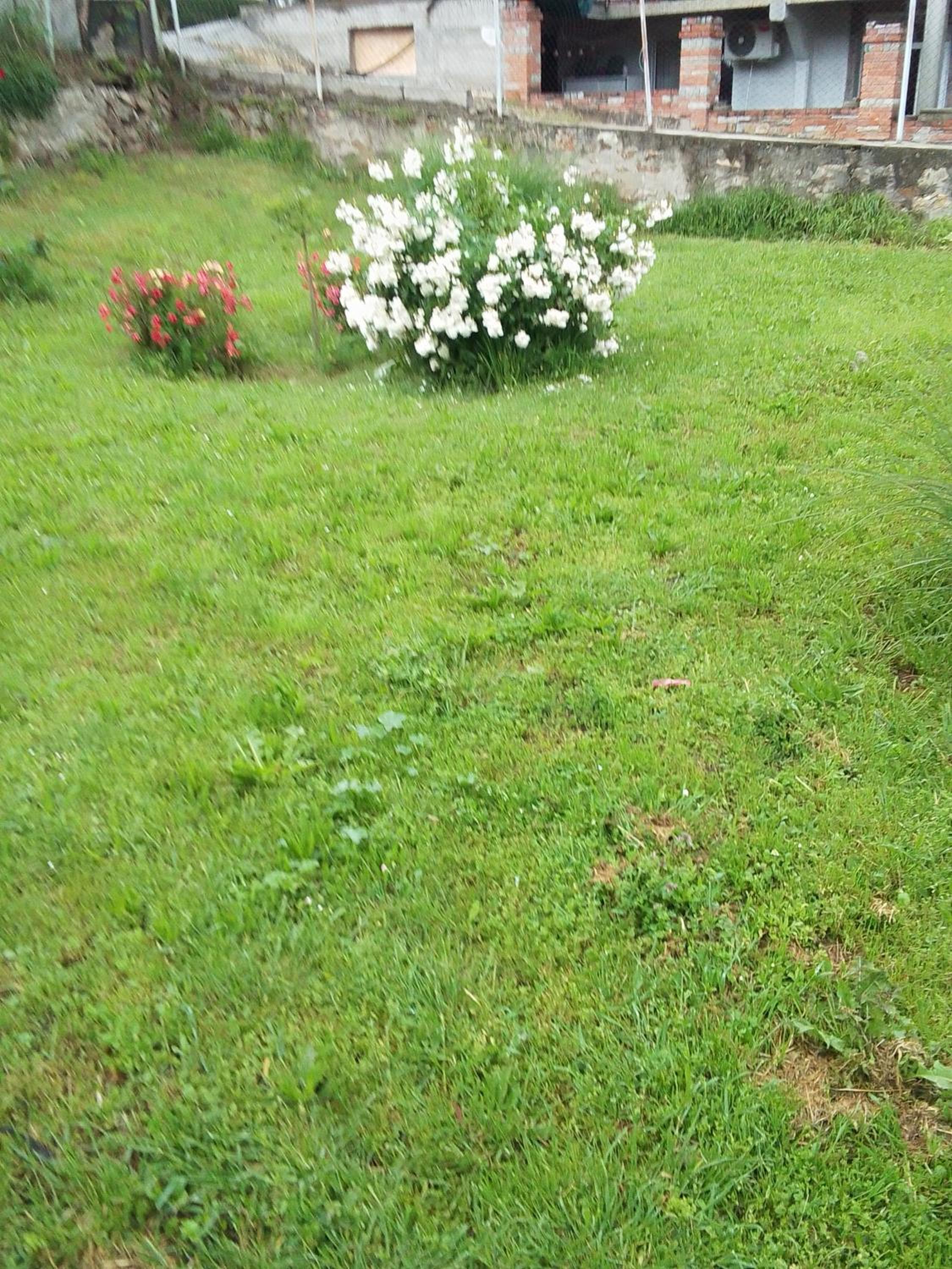 Apartman Djordjevic