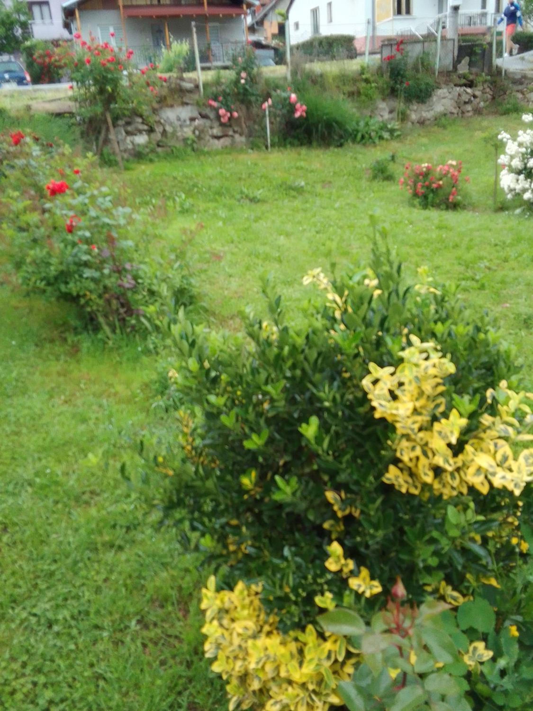 Apartman Djordjevic