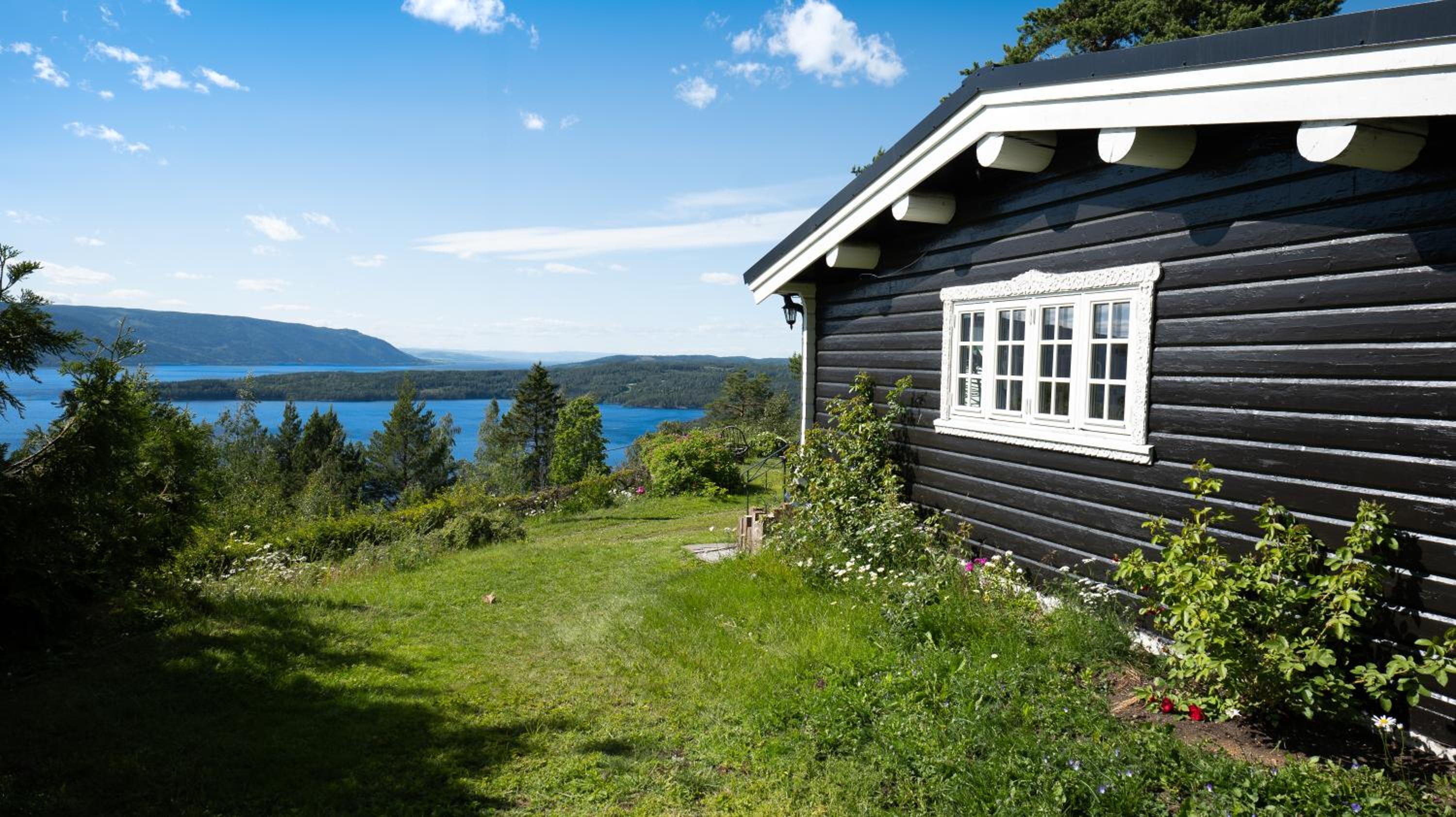 Mountain & Lake Haven & Close to Oslo