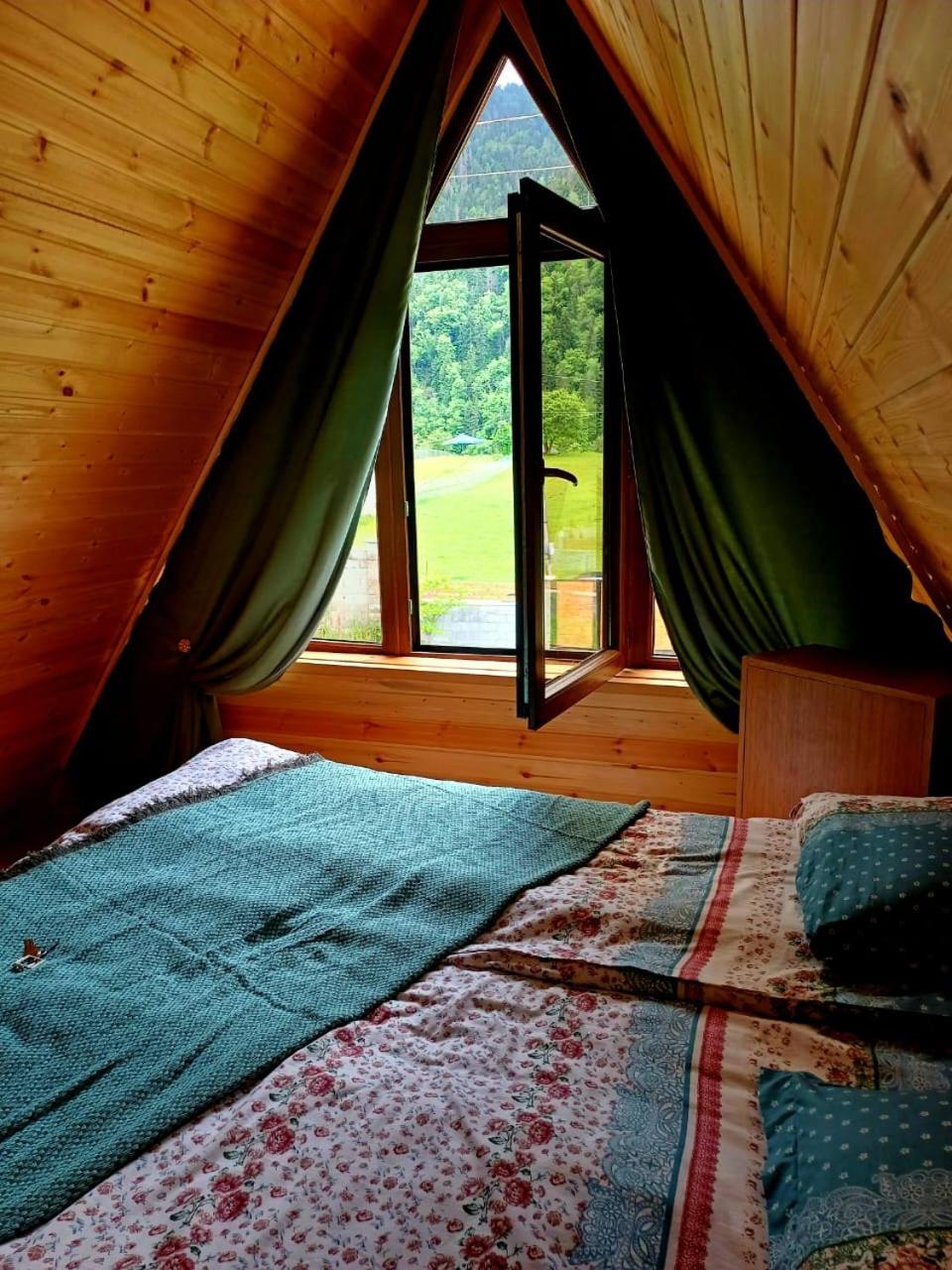 Forest hut