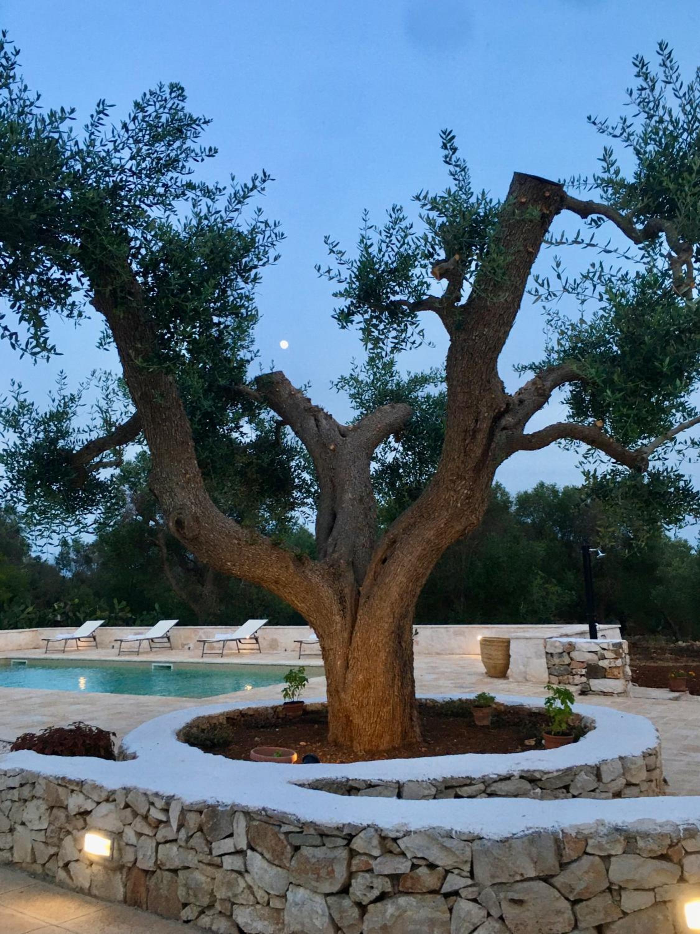 Trullo Tatauan
