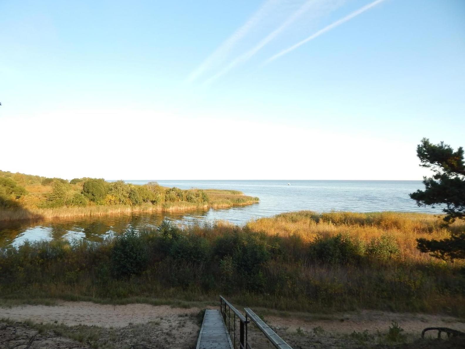 Järveääre majutus