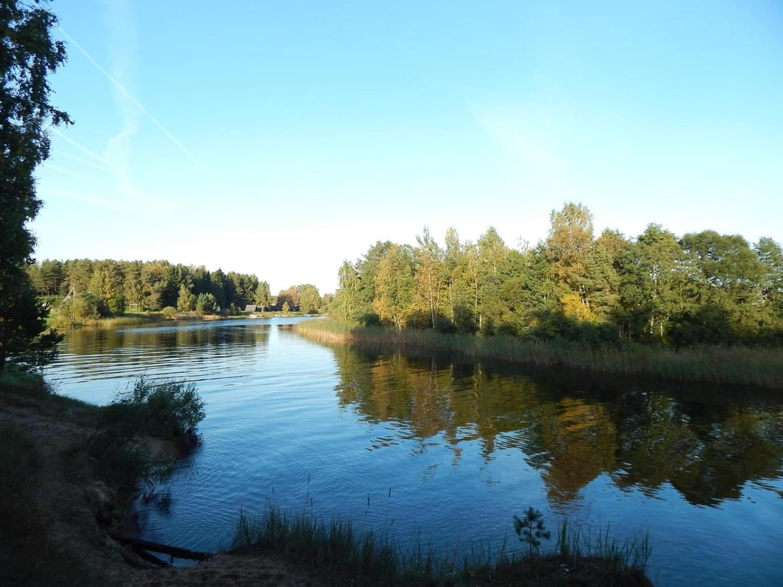 Järveääre majutus