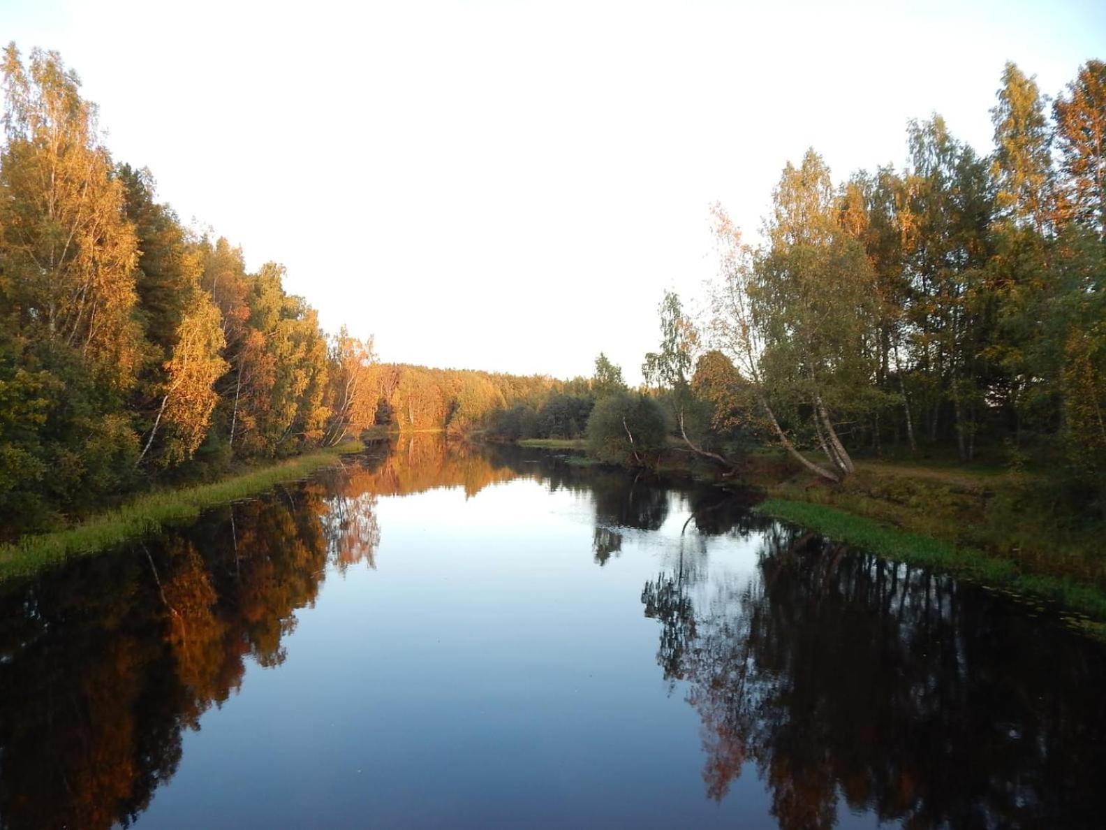Järveääre majutus