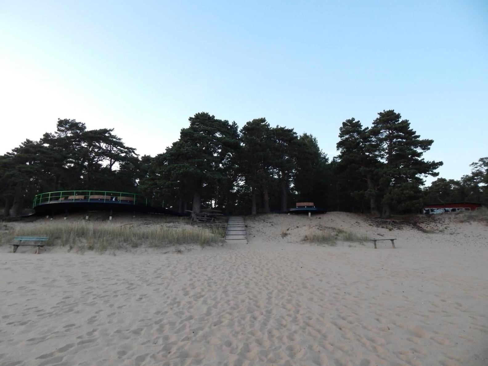 Järveääre majutus