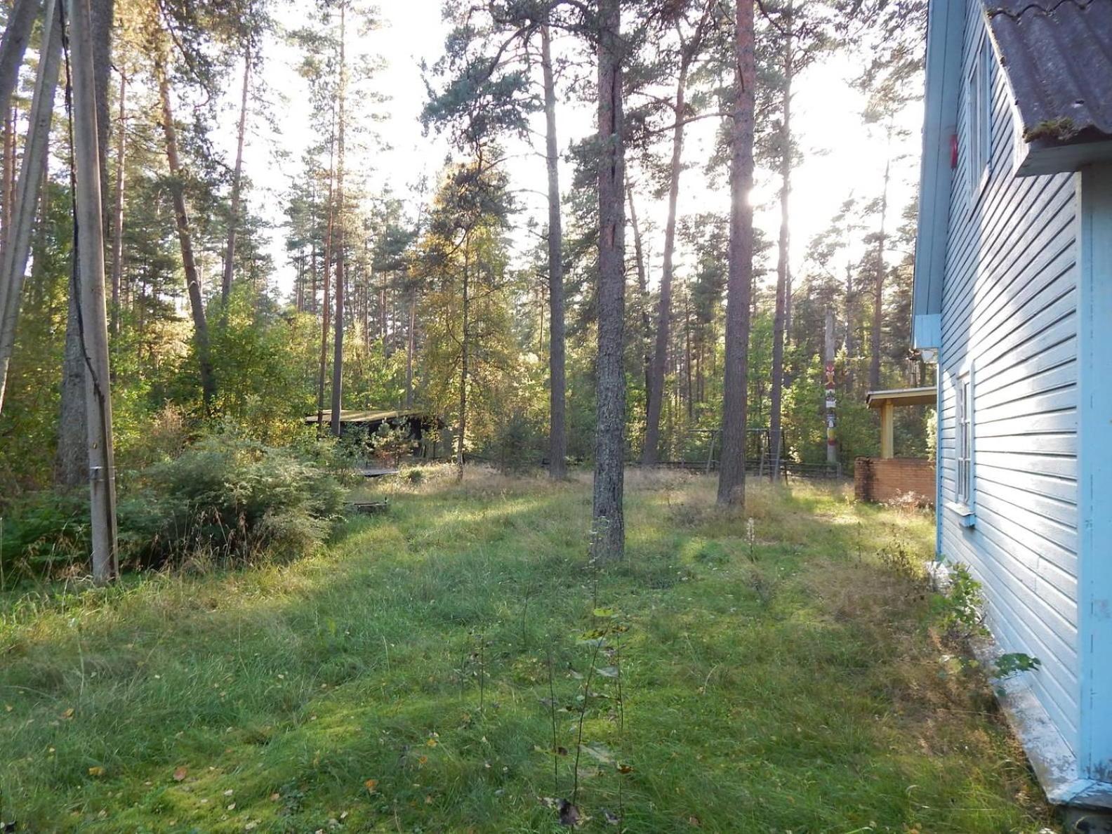Järveääre majutus