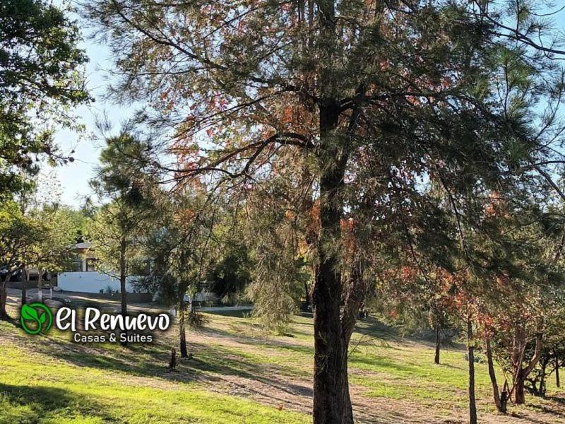 El Renuevo Casas y Suites