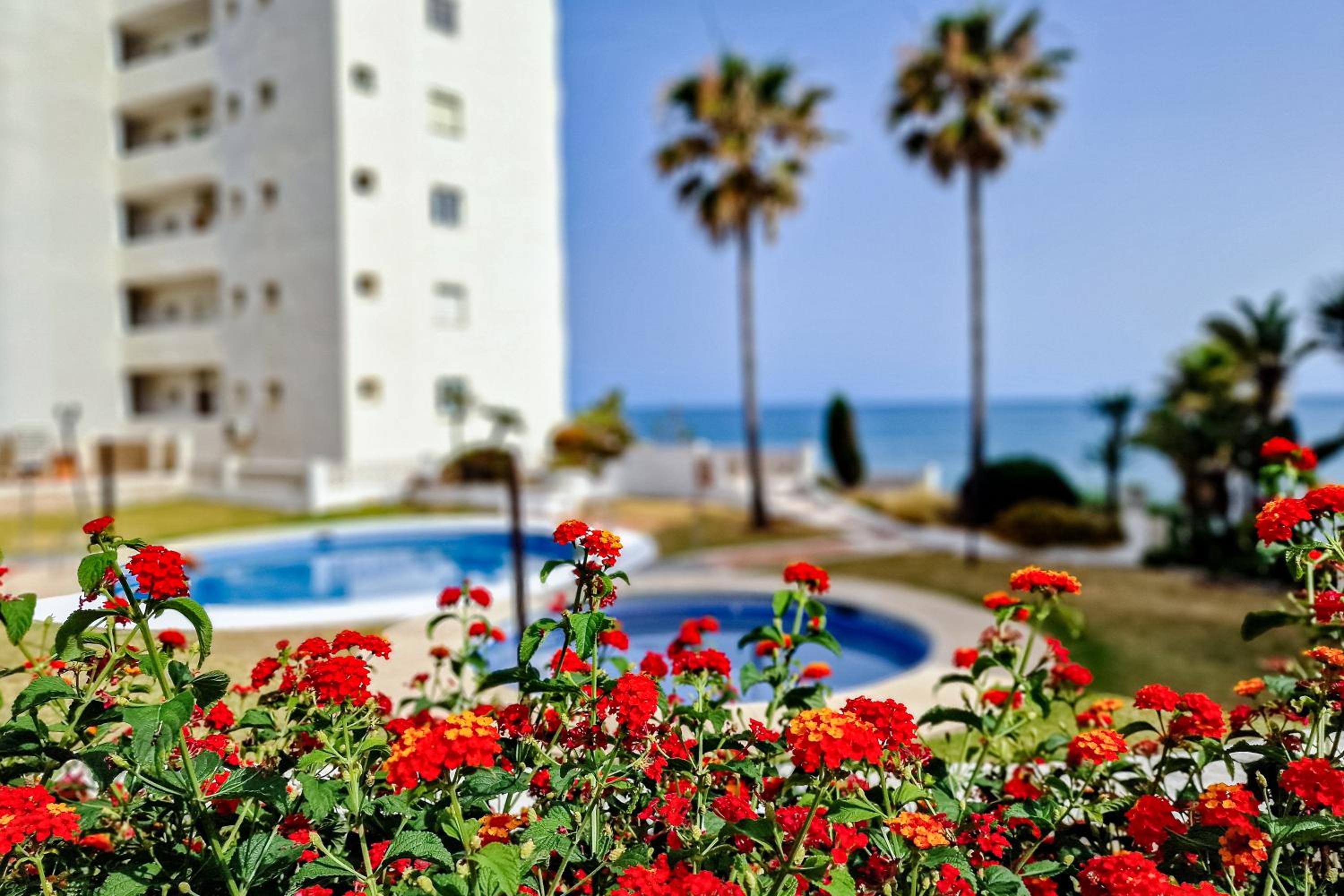 El Jardin Secreto