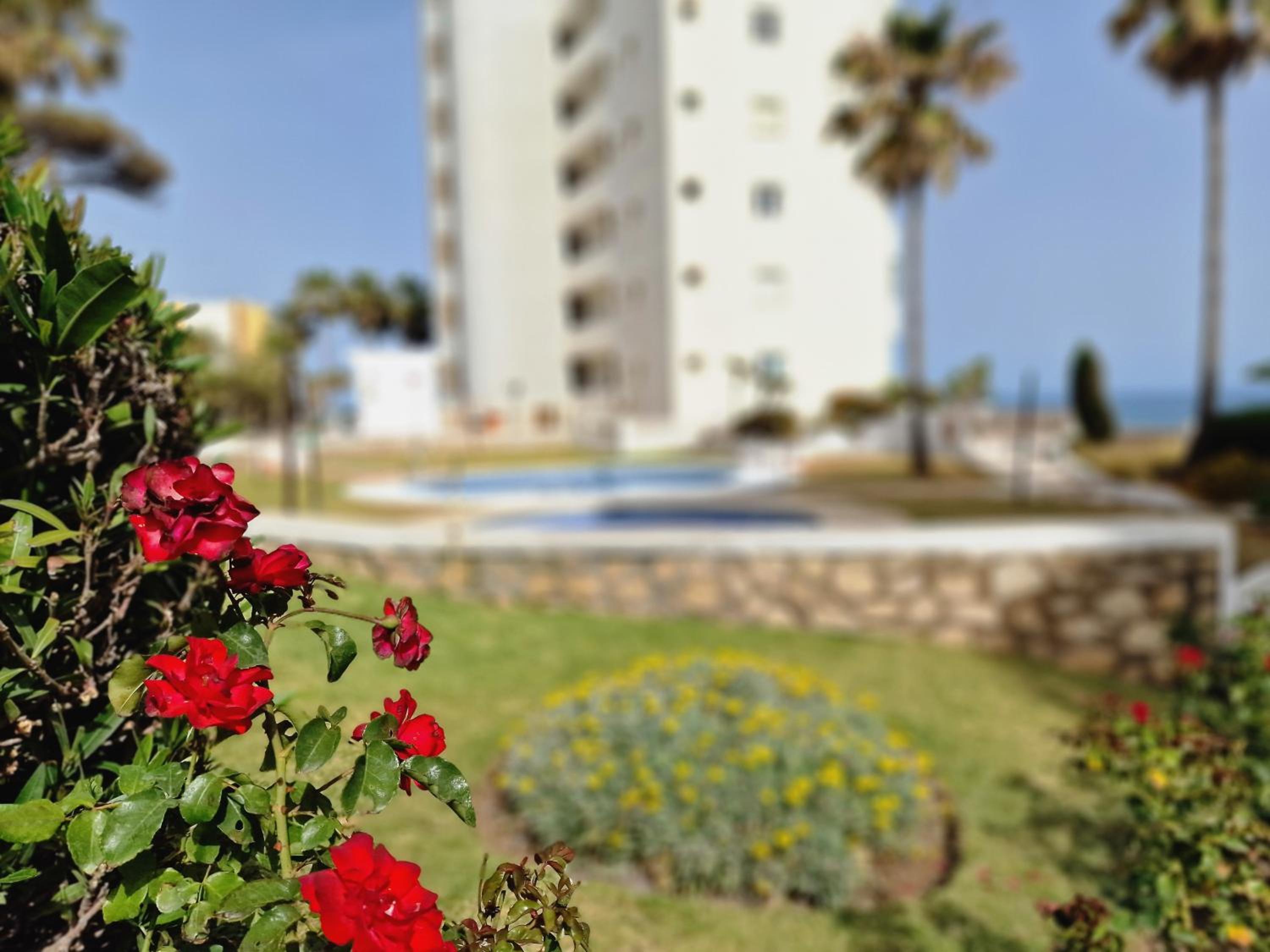 El Jardin Secreto