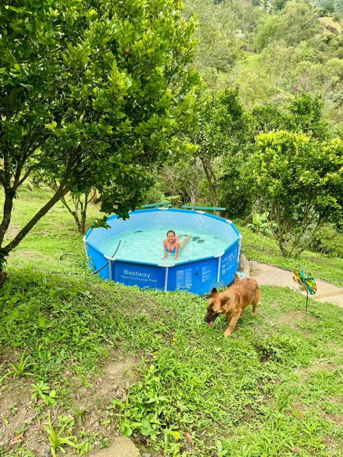 Cabañas Avani