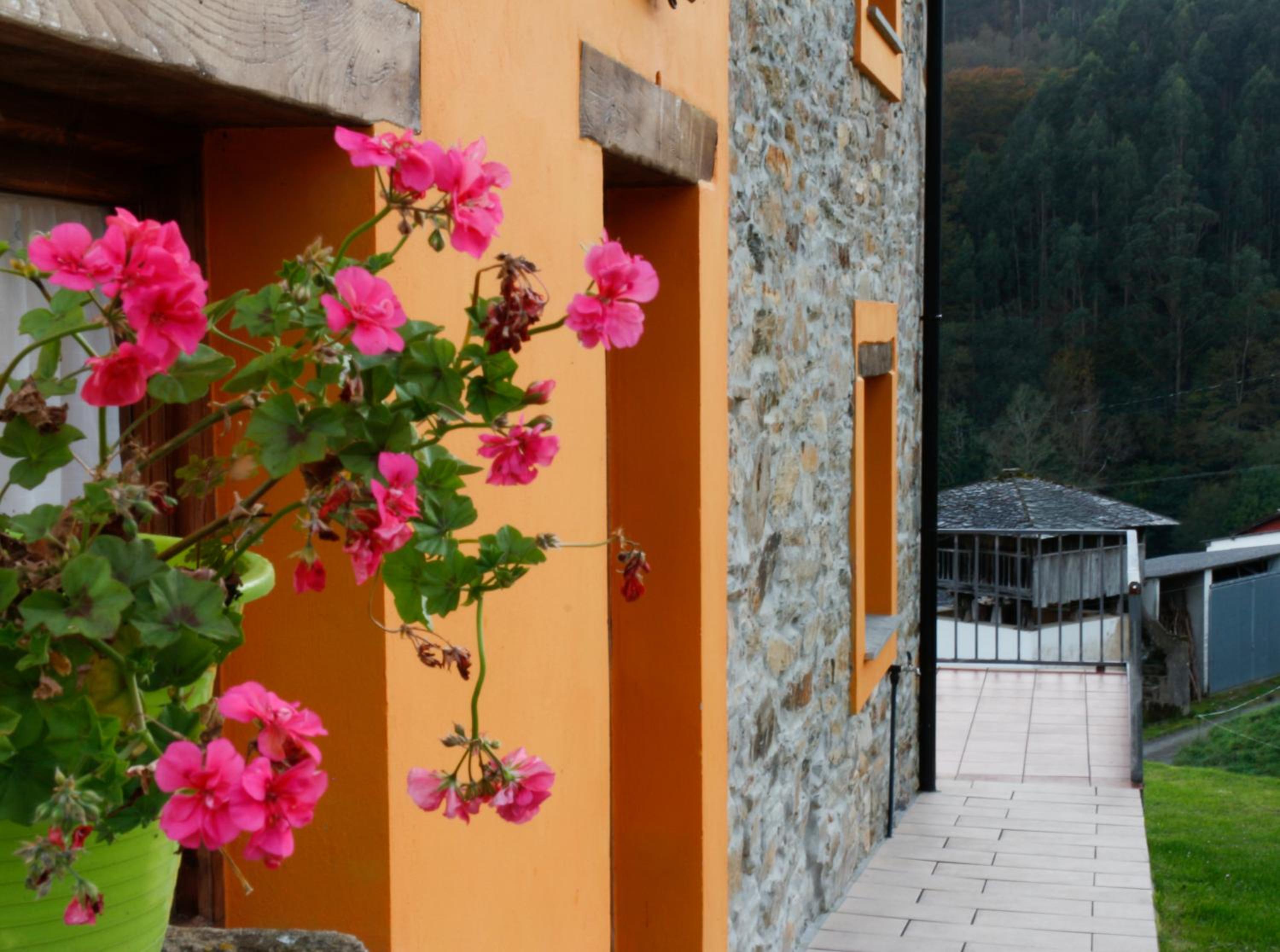 Casa el Fanoso view 2