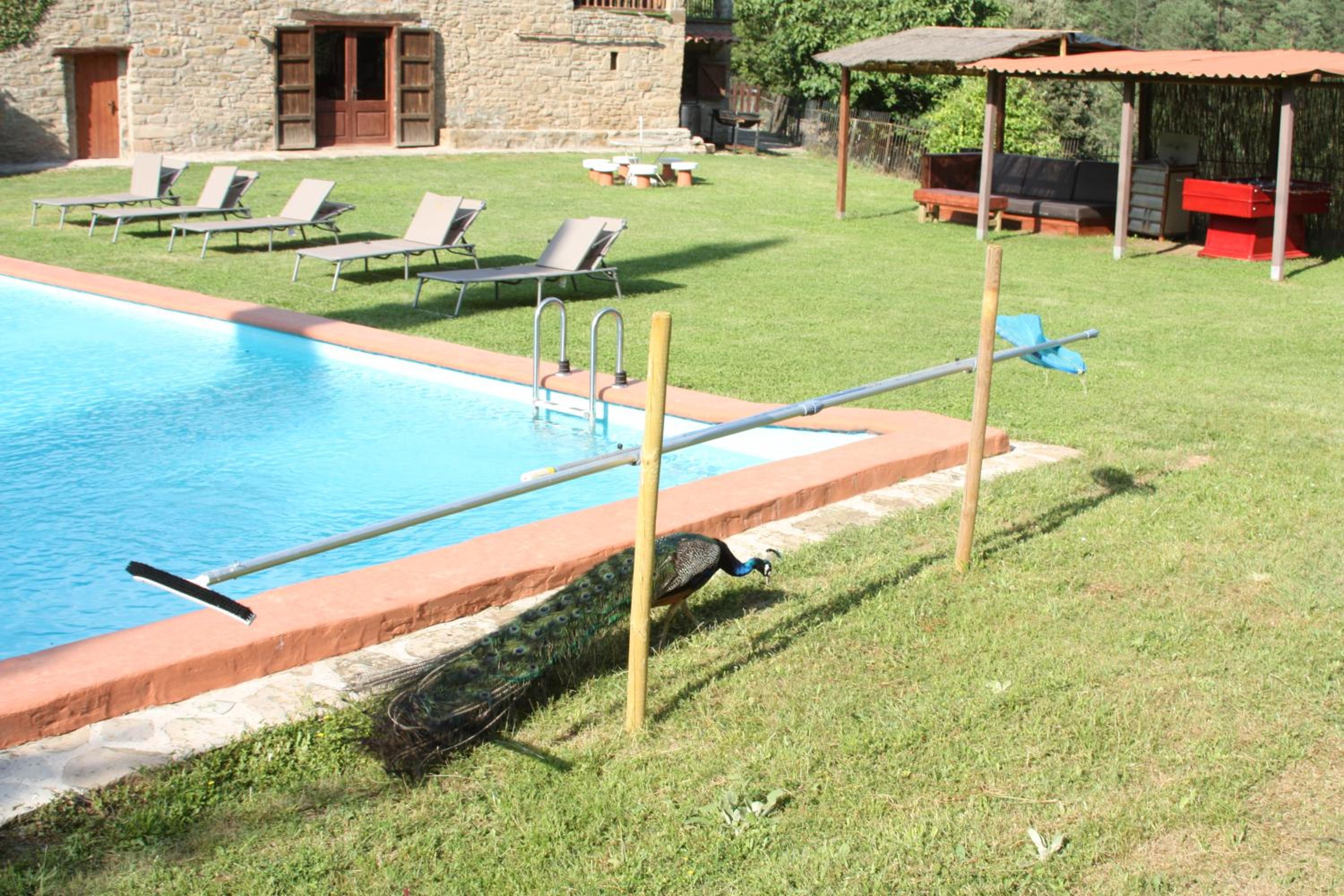 Photo 94