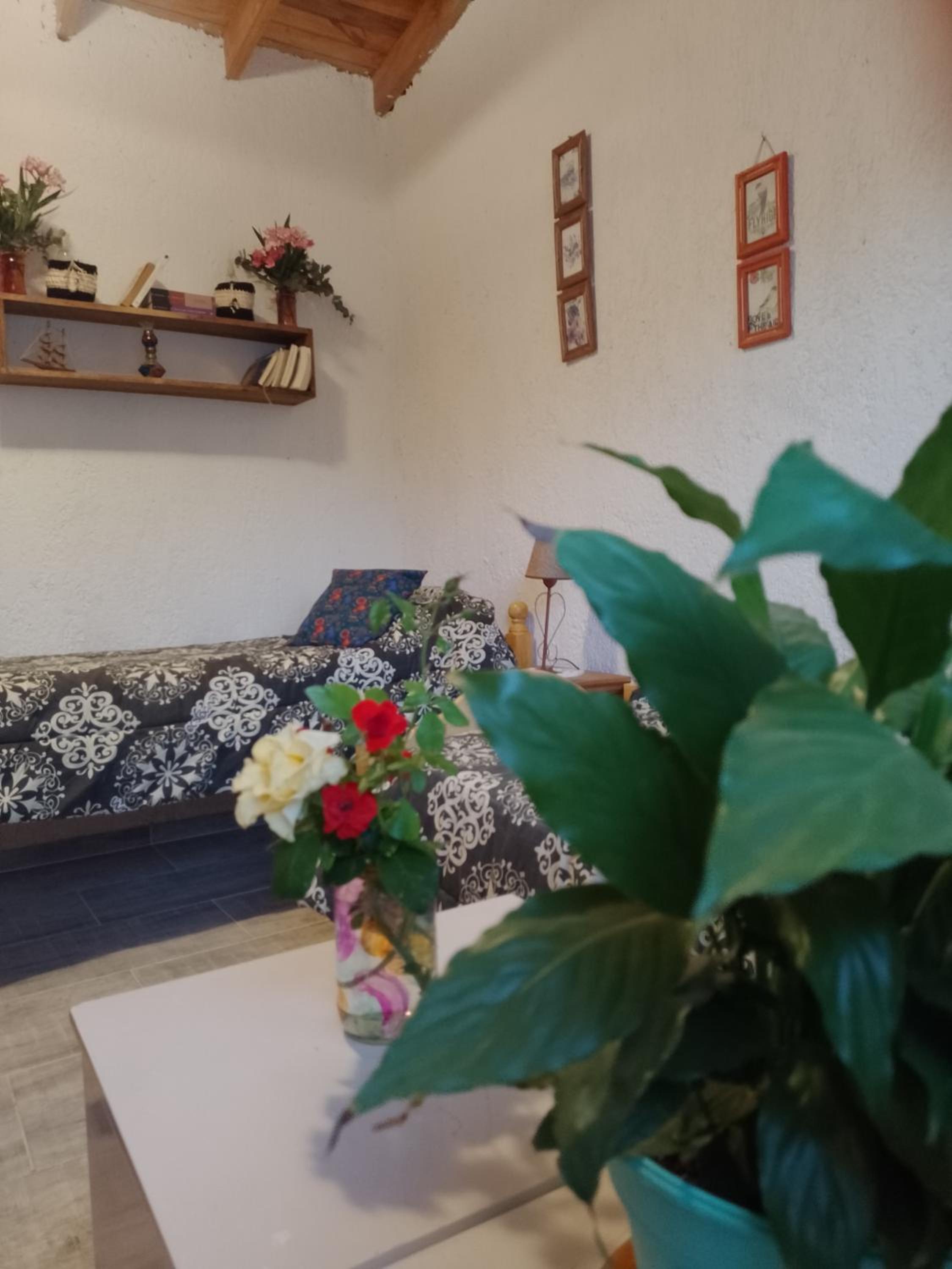 Casa Villa Alba Carpinteria