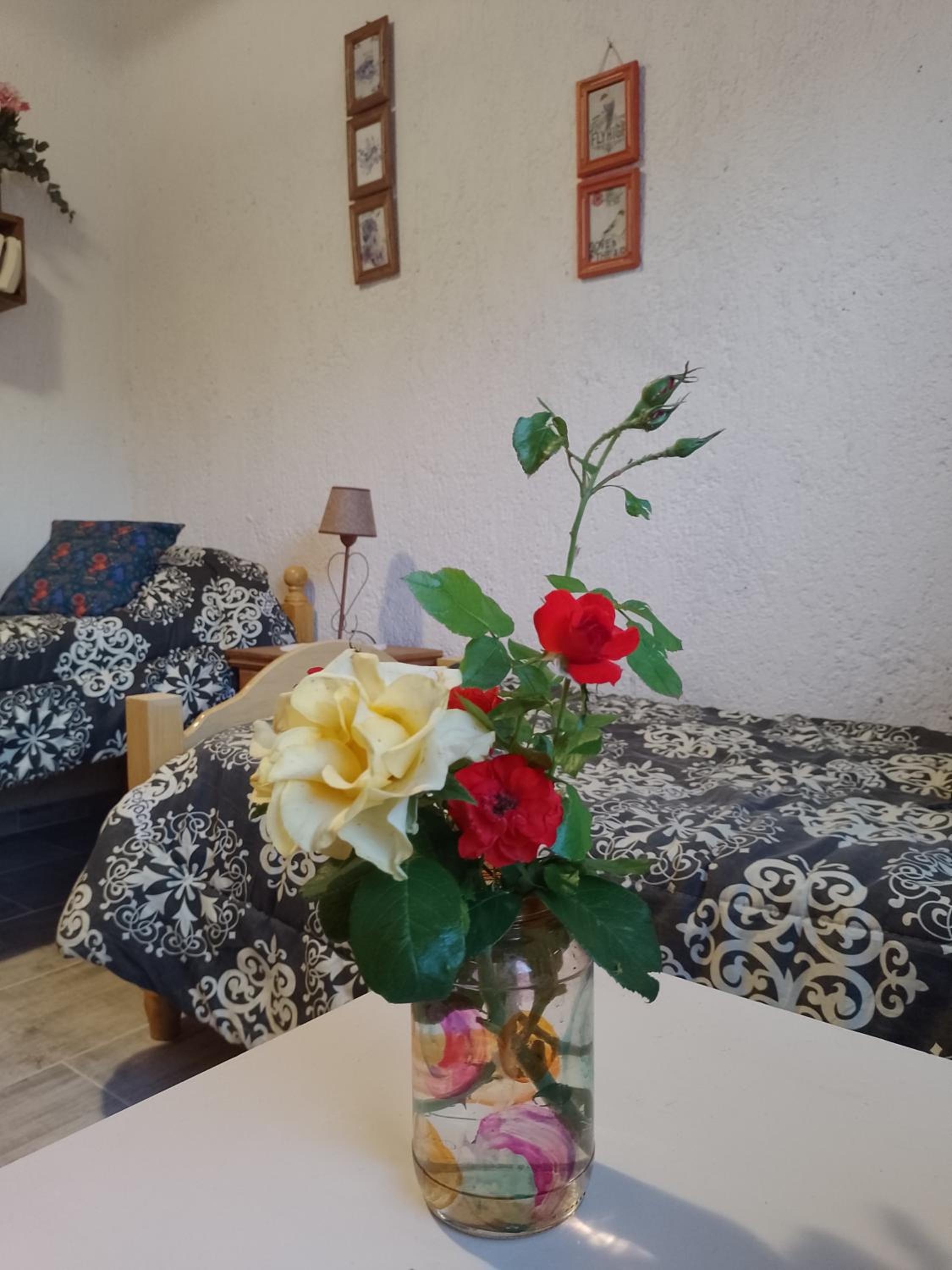 Casa Villa Alba Carpinteria