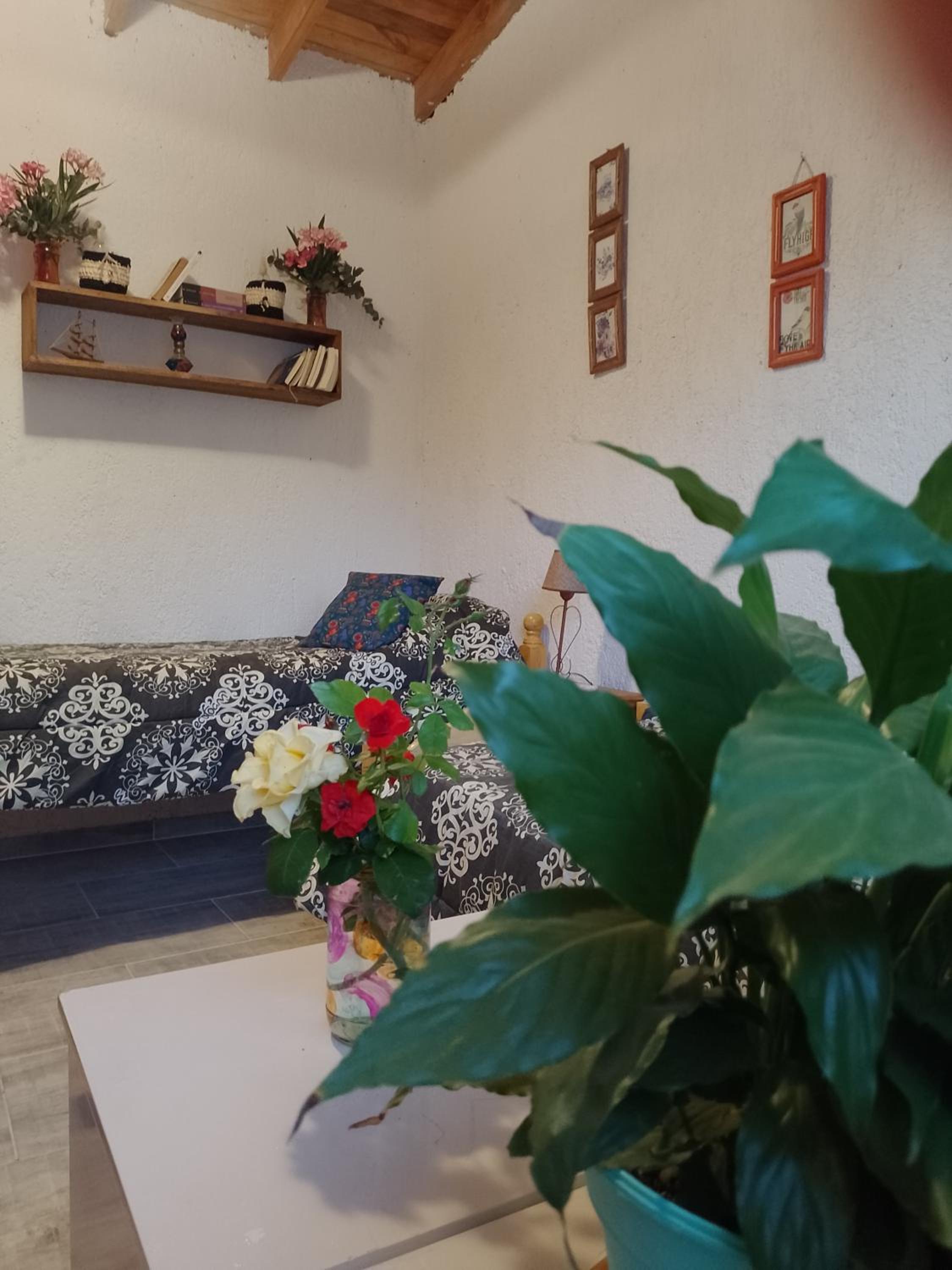 Casa Villa Alba Carpinteria