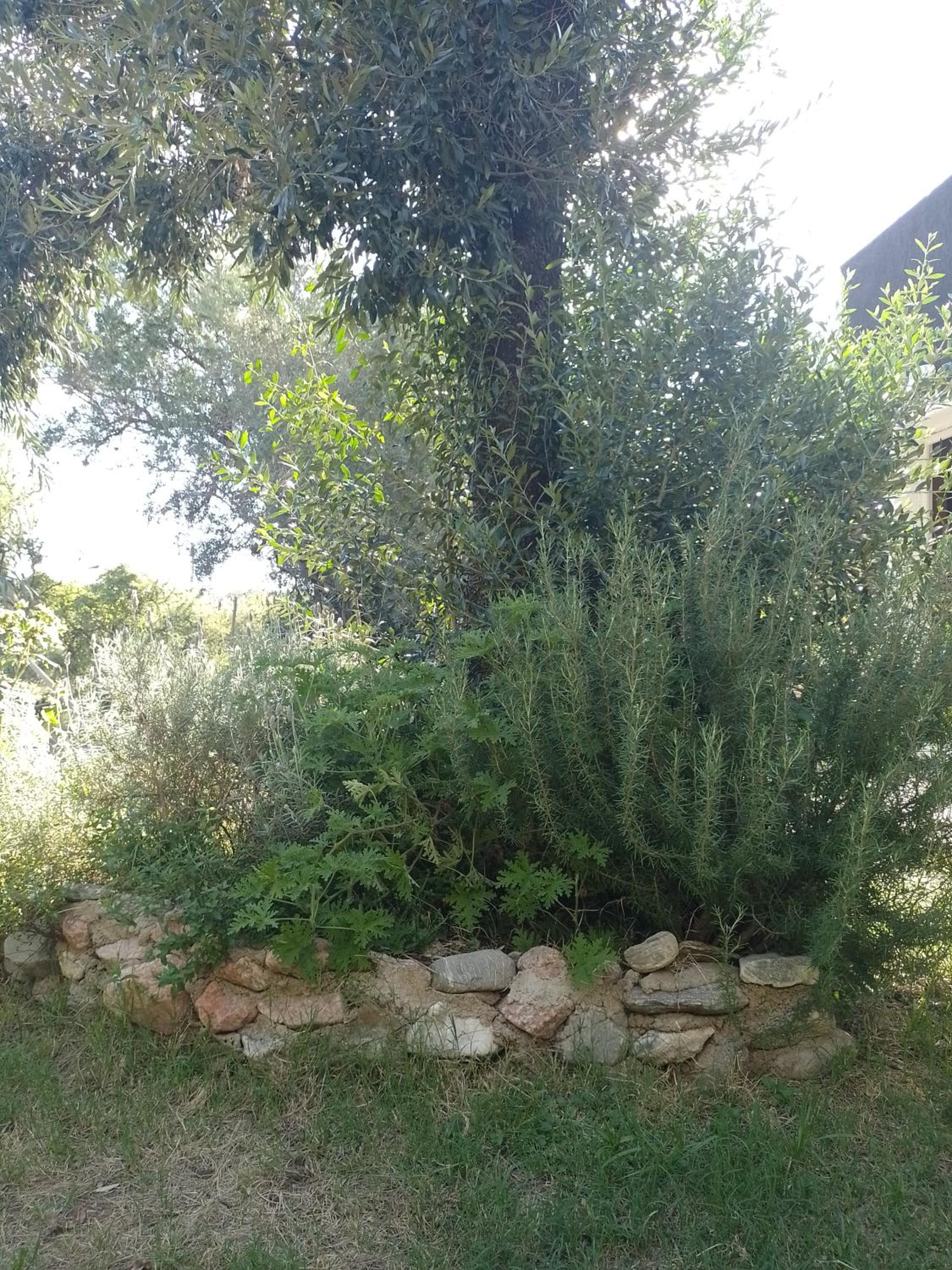 Casa Villa Alba Carpinteria