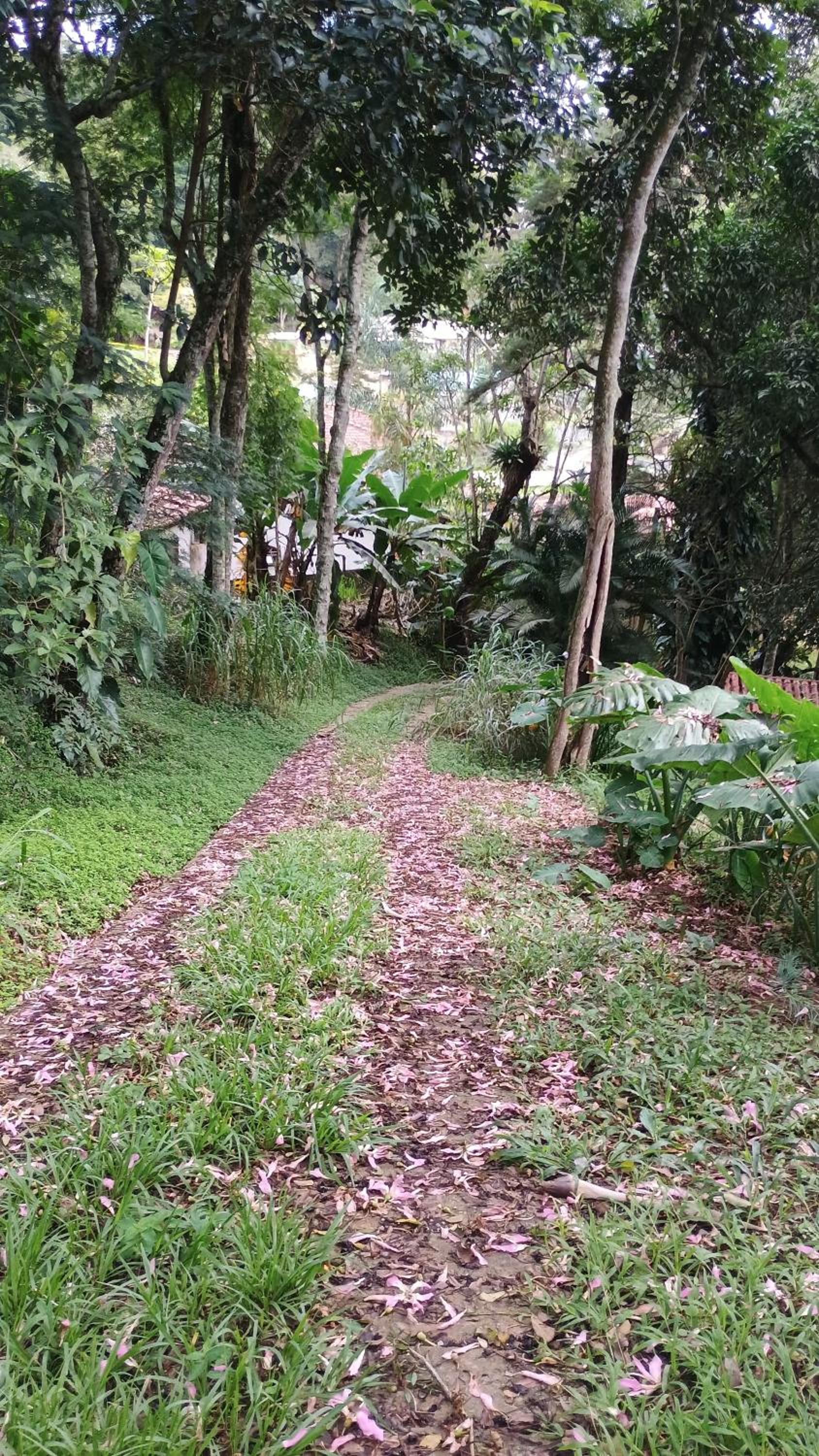 Estalagem Do Rancho II
