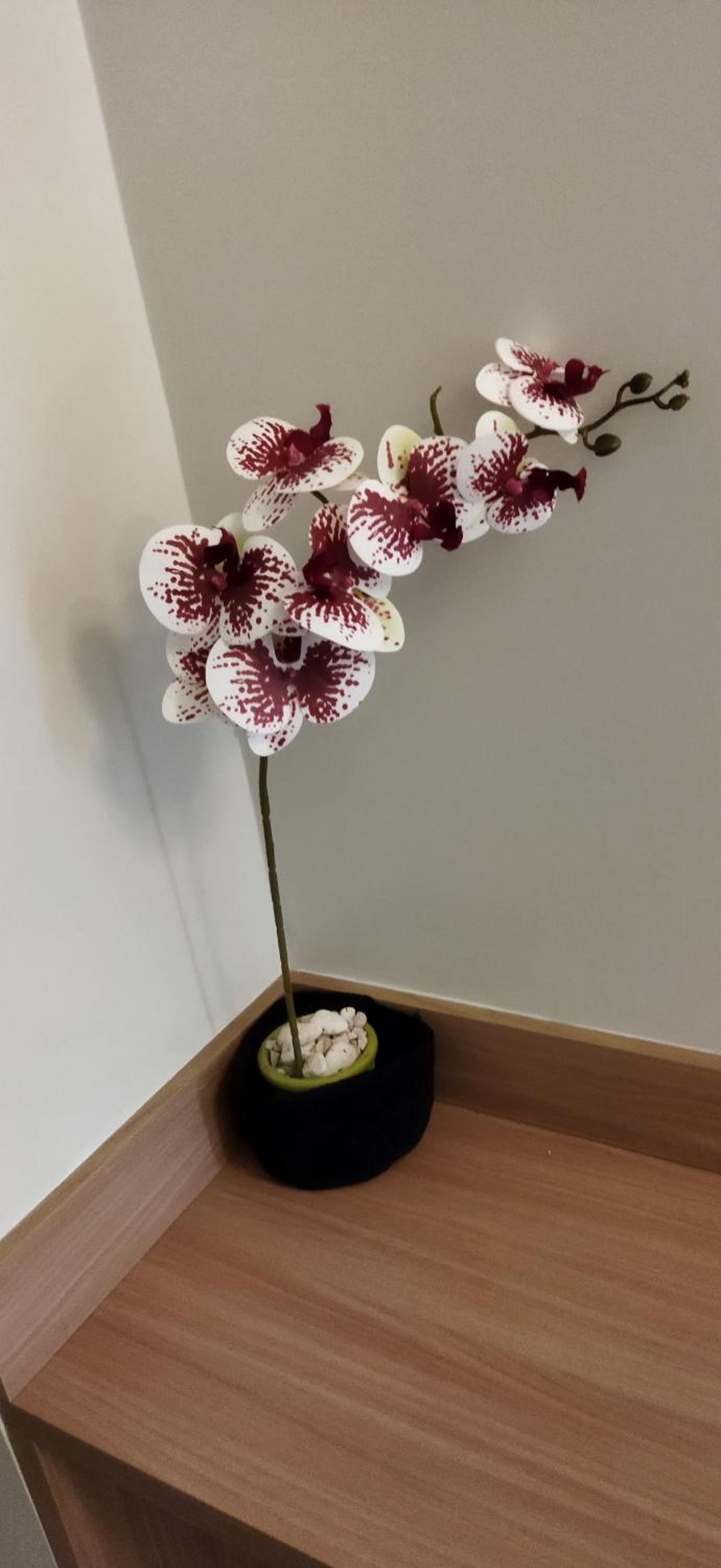 Apartamento cabernet 1