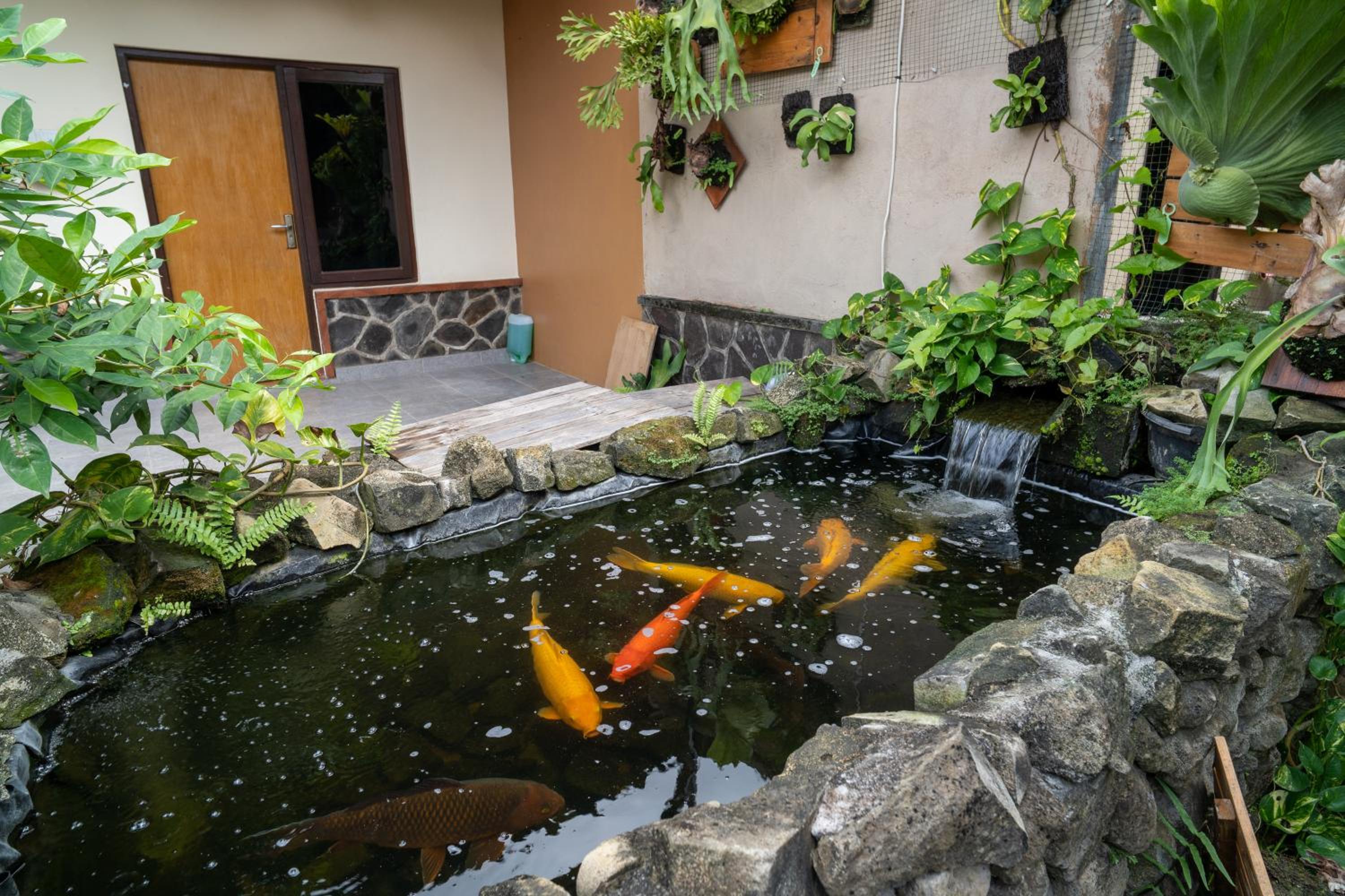 Vinaya homestay