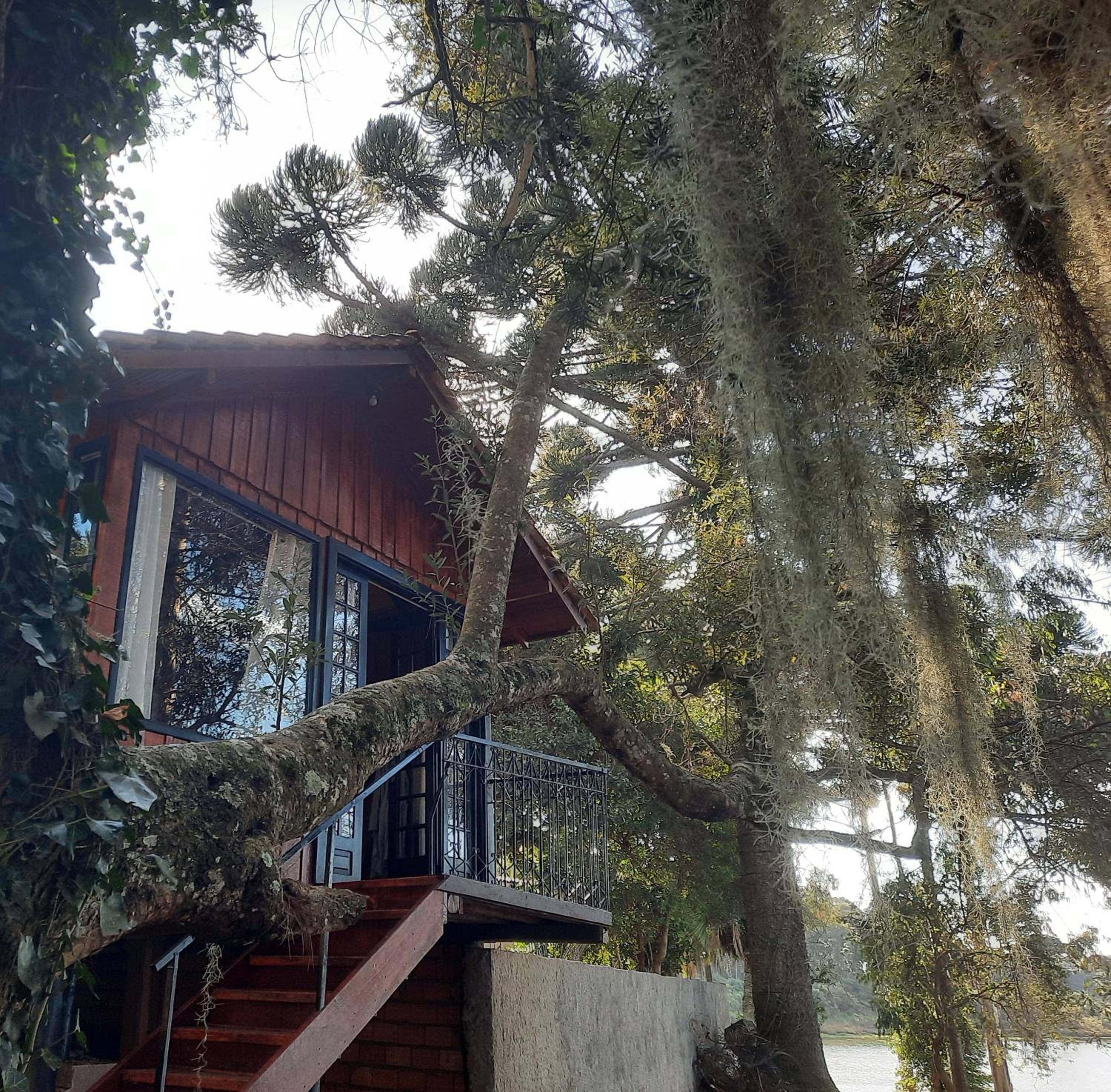 CabanadaArvoreSalto