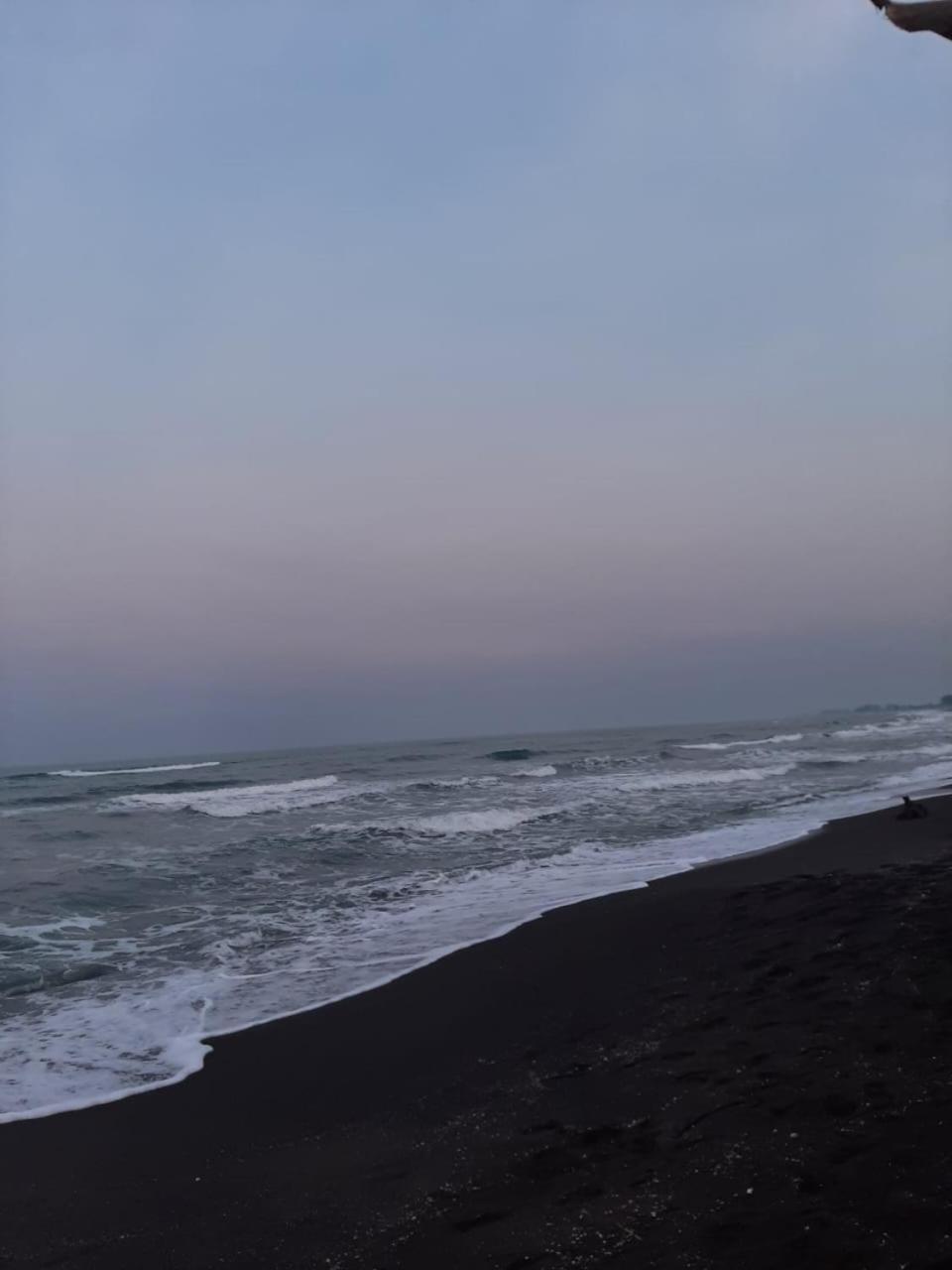 Photo 38