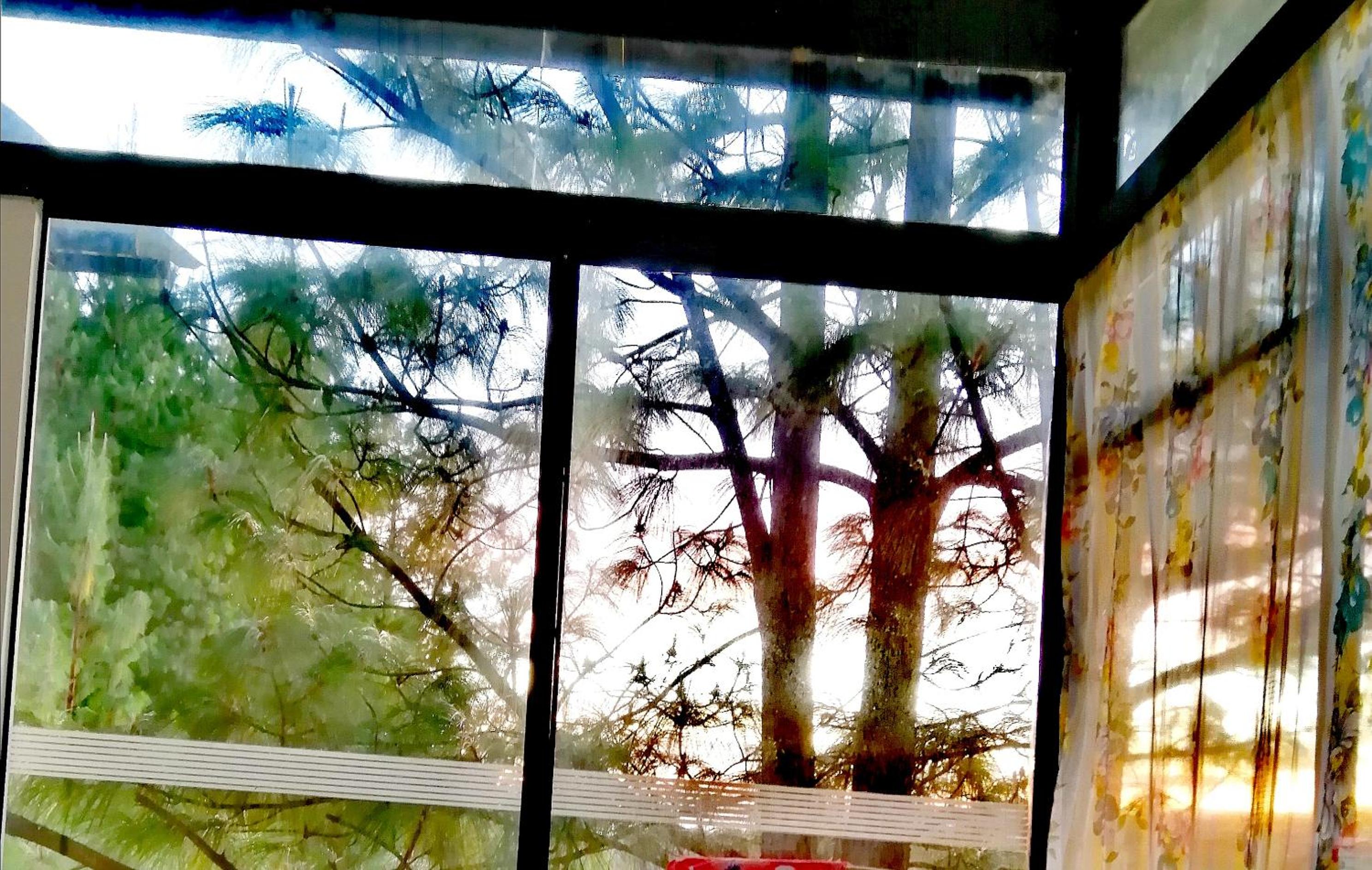Casa Entre Pinos susa