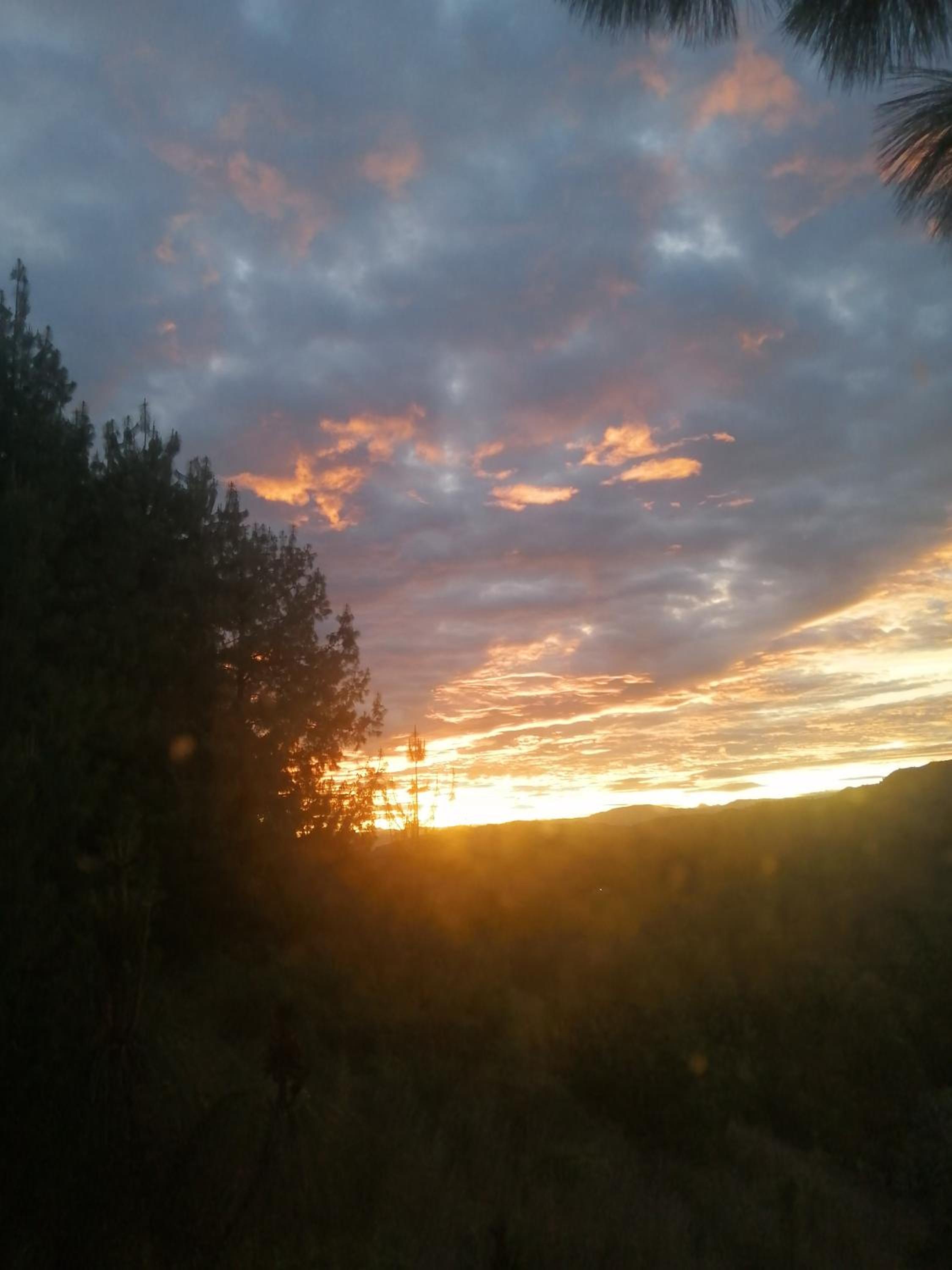 Casa Entre Pinos susa