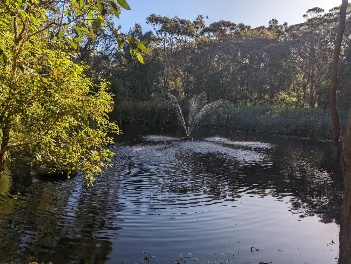 The Oasis at One Mile Beach
