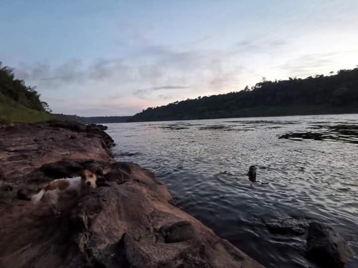 Nativa Iguazu