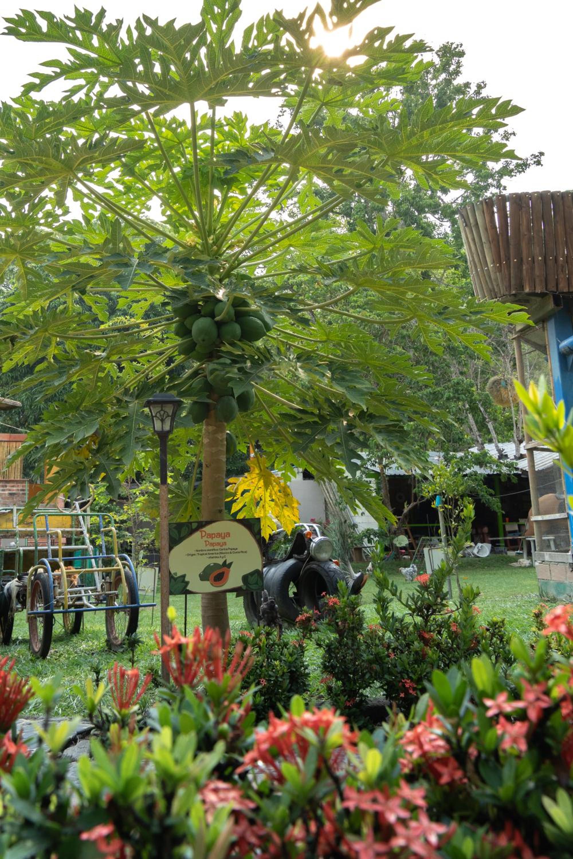 Eco Hotel El Acuario
