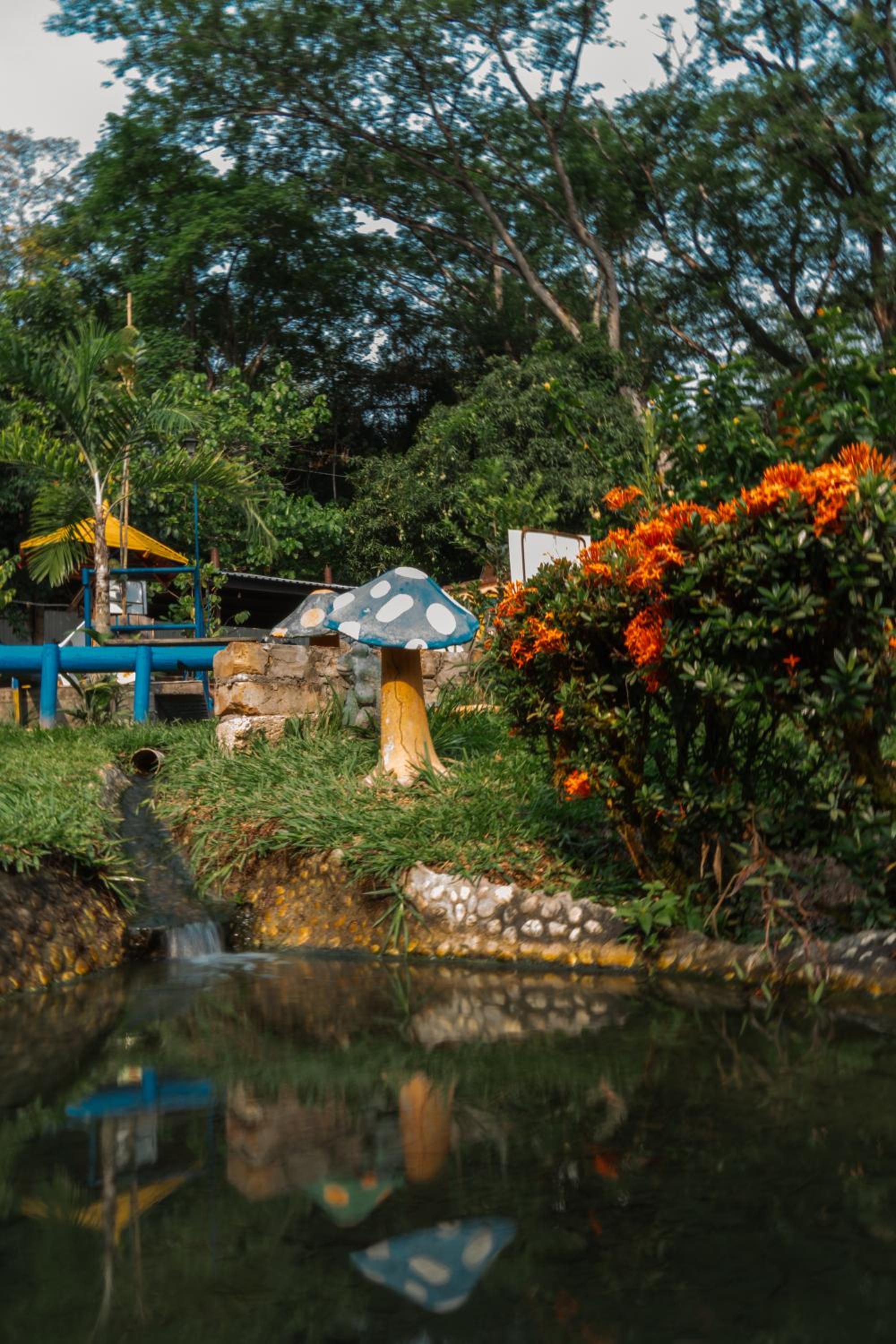 Eco Hotel El Acuario