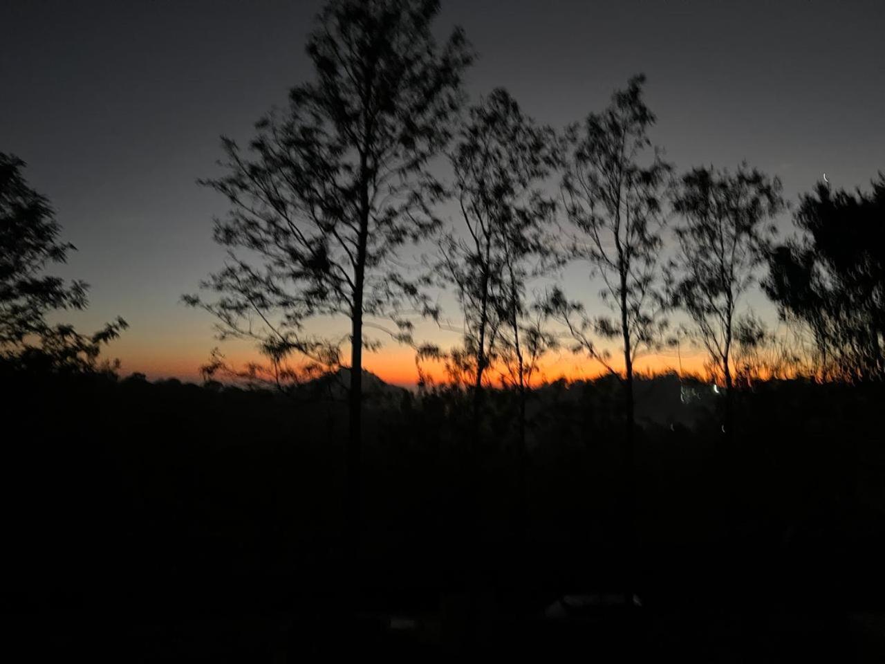 Photo 34