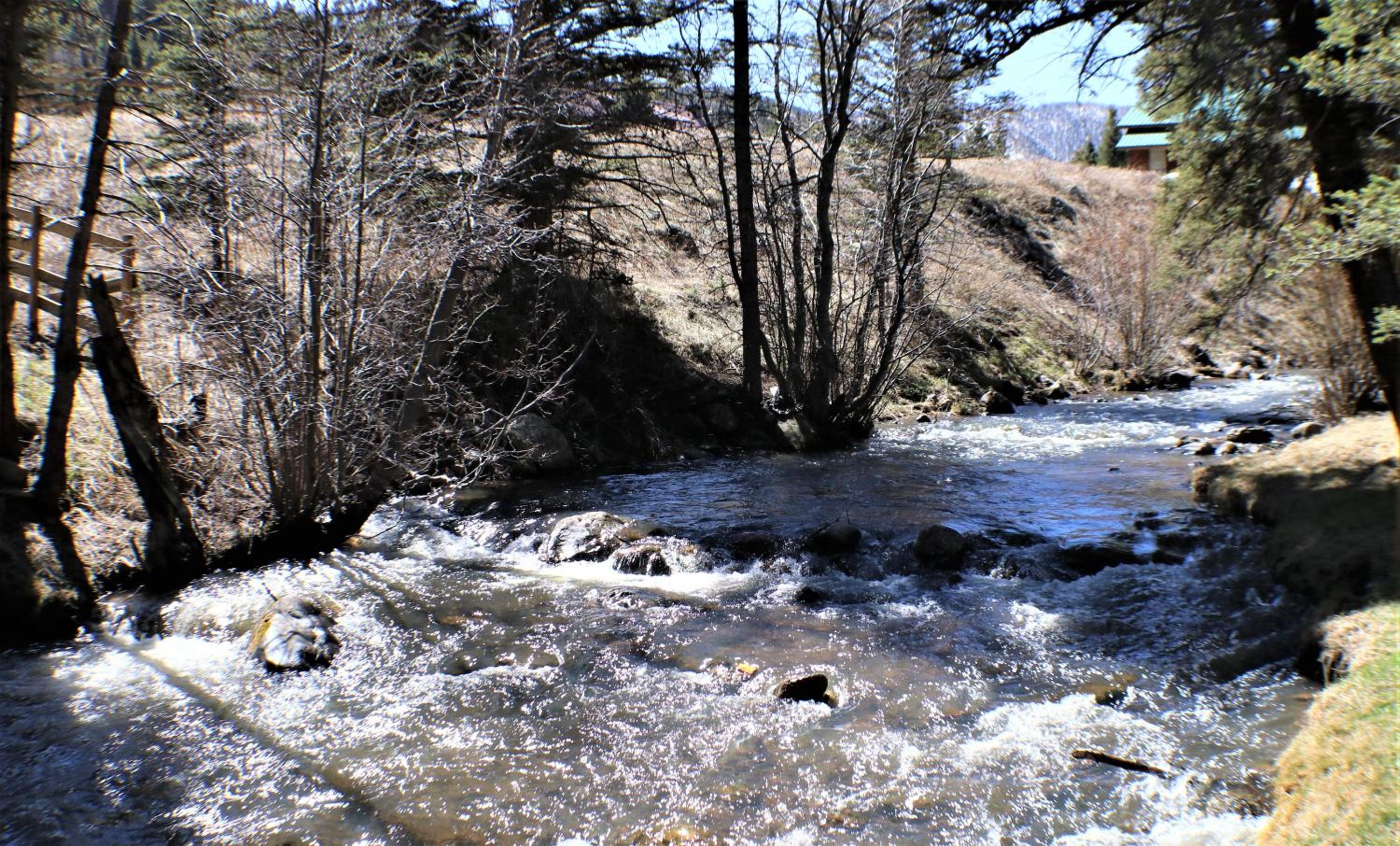 Photo 40