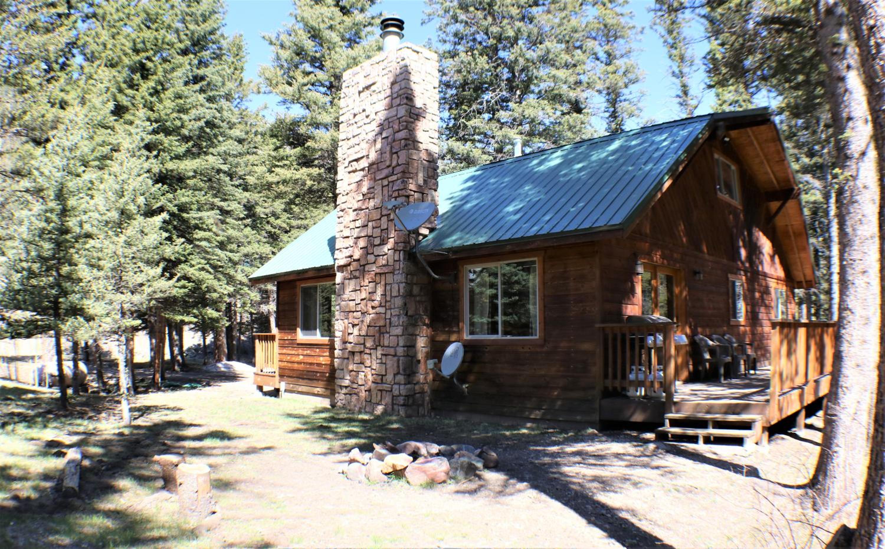Photo 41