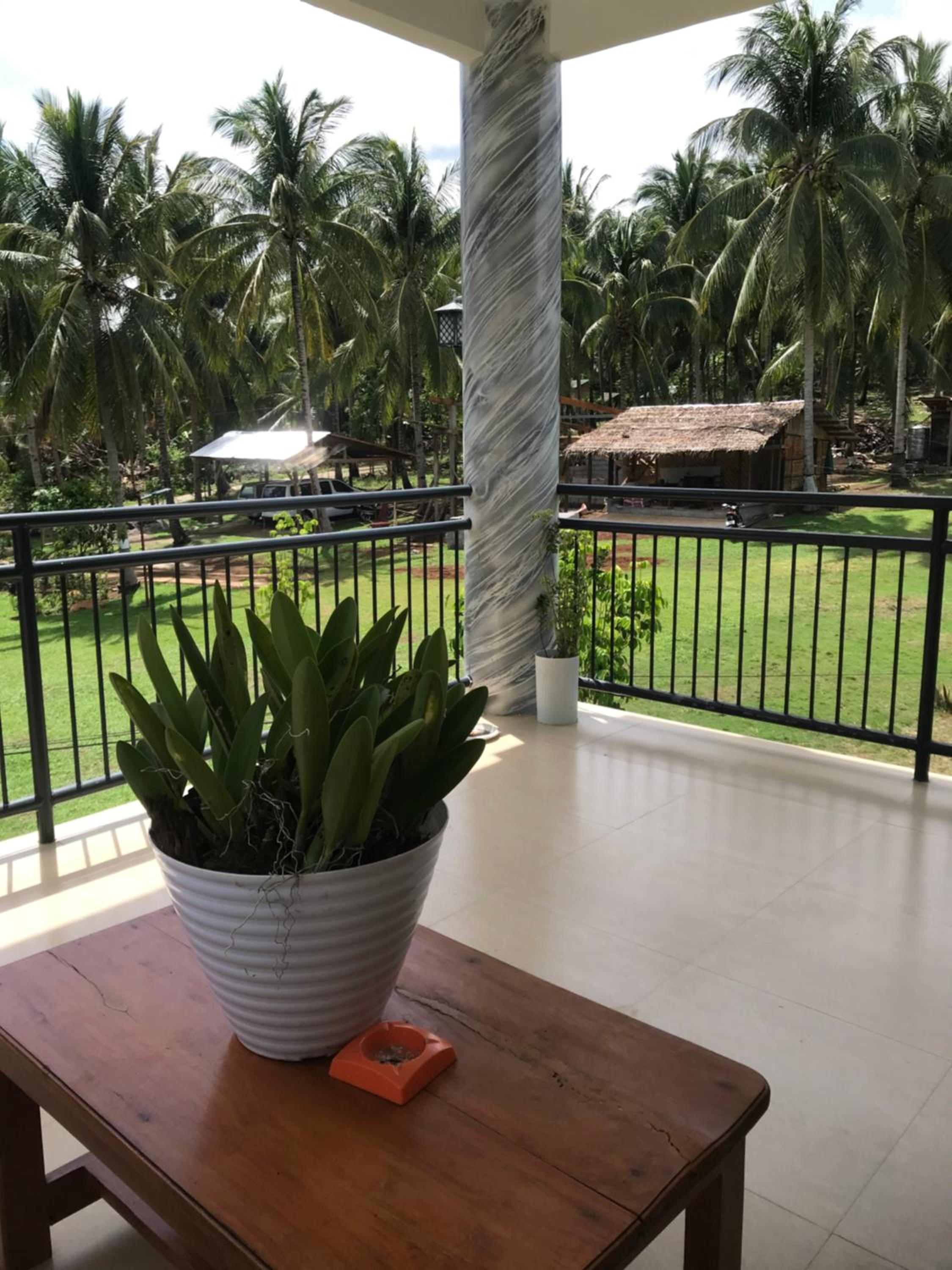 Taylors Plantacion Resort- Grande Superior Room view 5