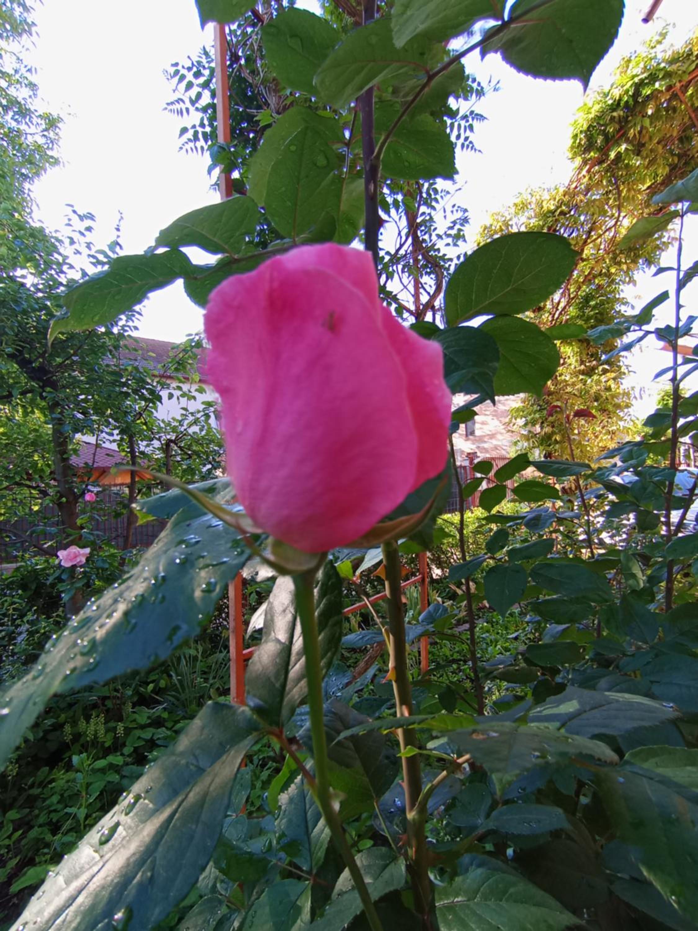 Photo 47