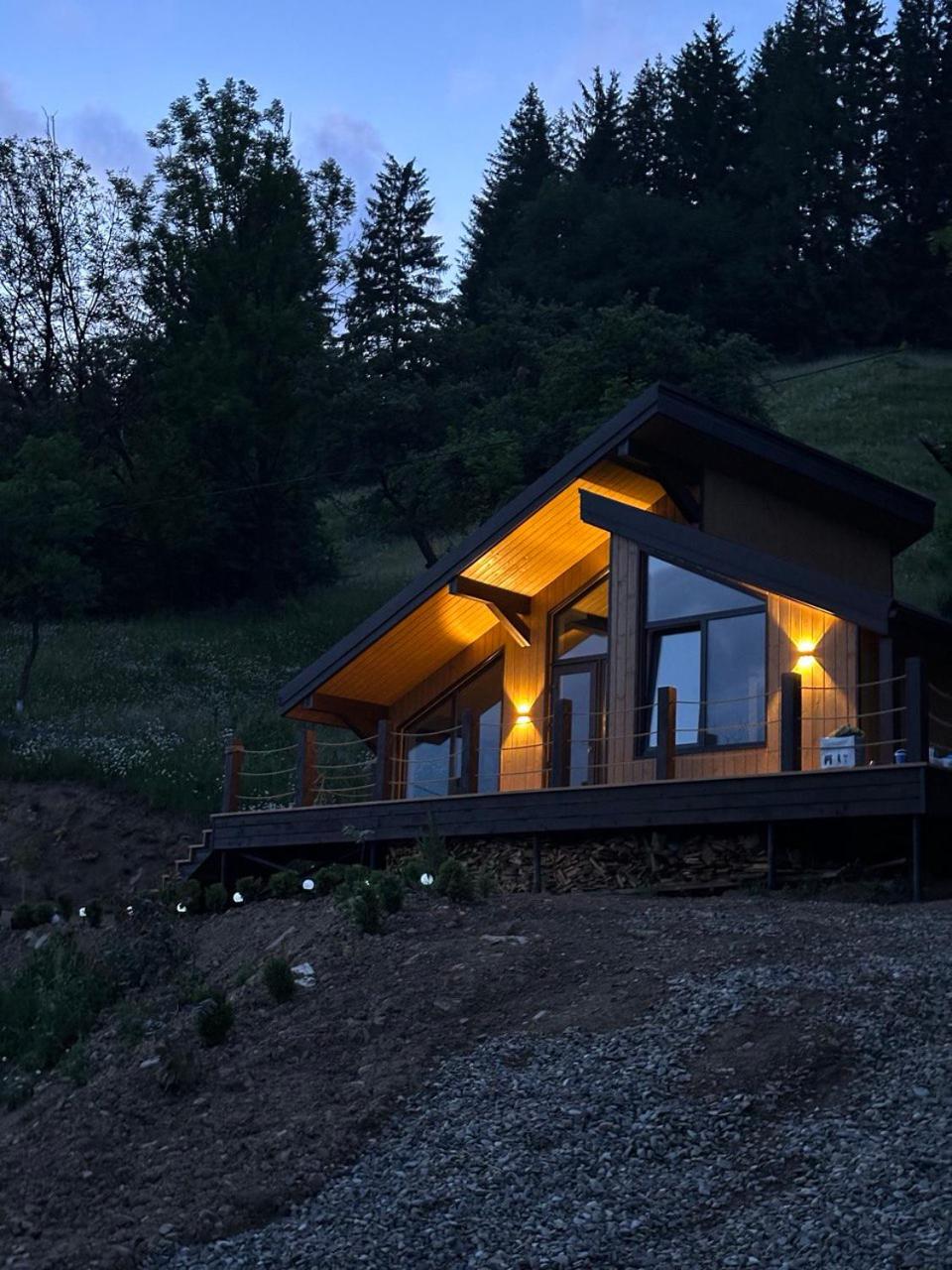 Petrick House view 4