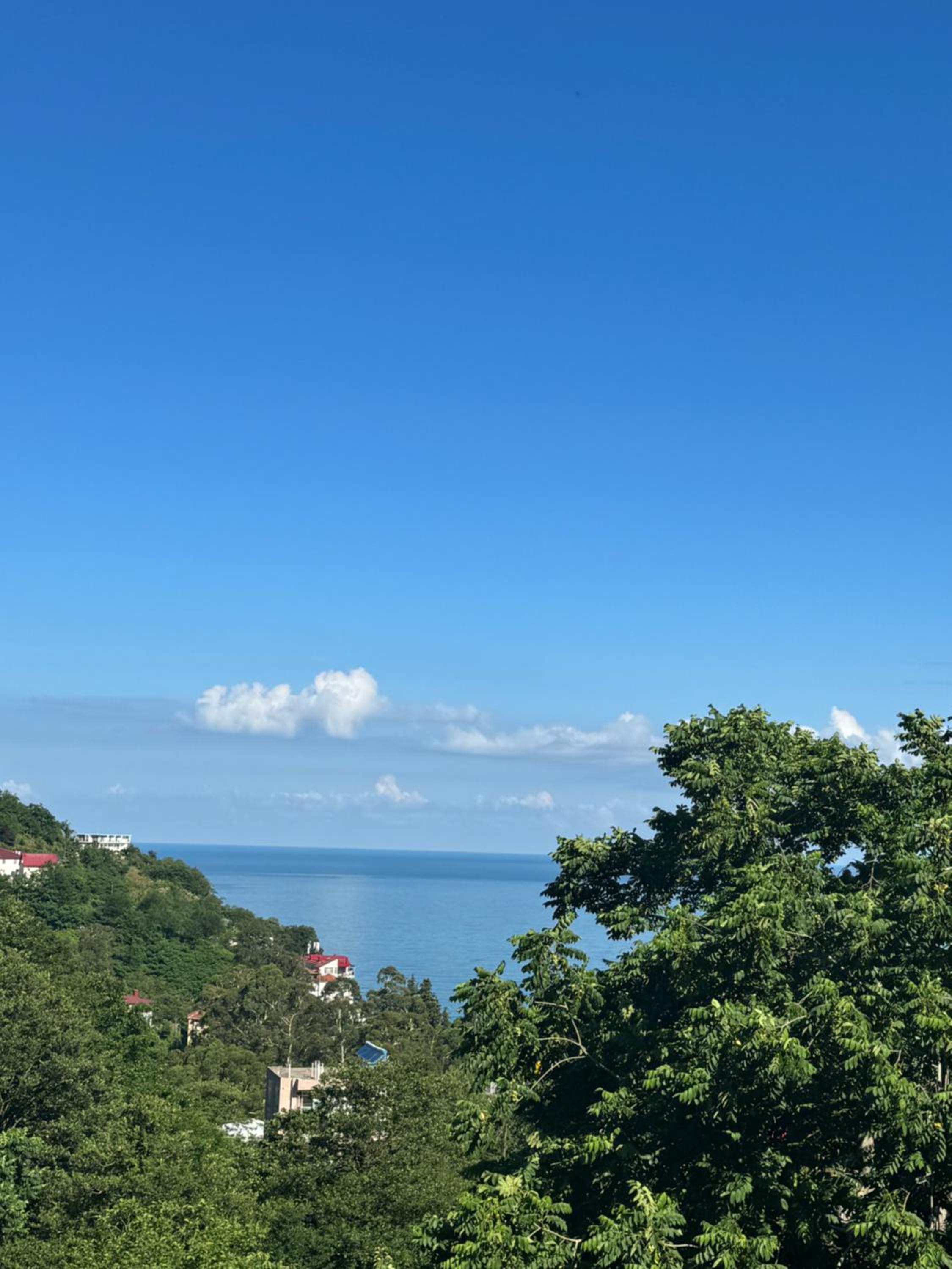 Royal House view 3