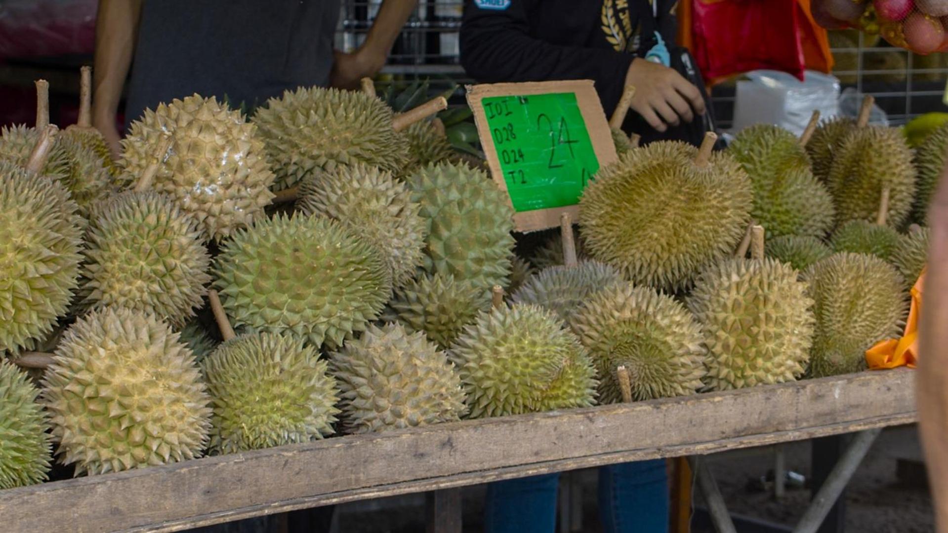 The Dusun
